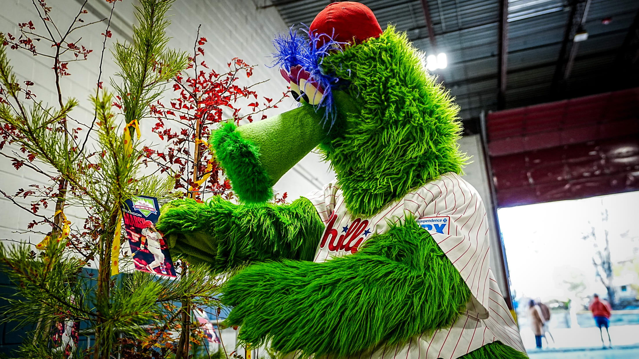 HomeRunsForTrees166474