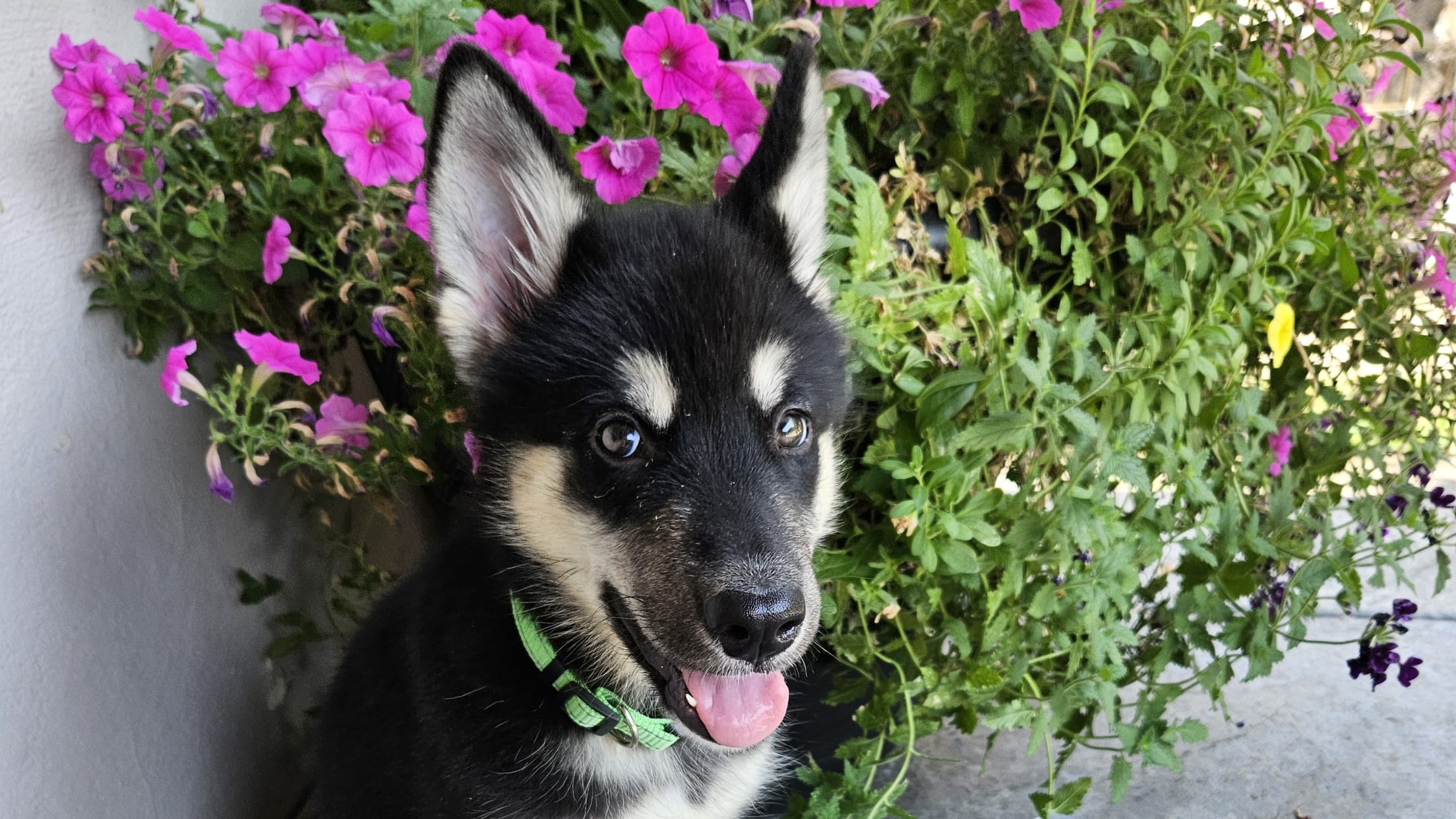 20250803_123844 copy