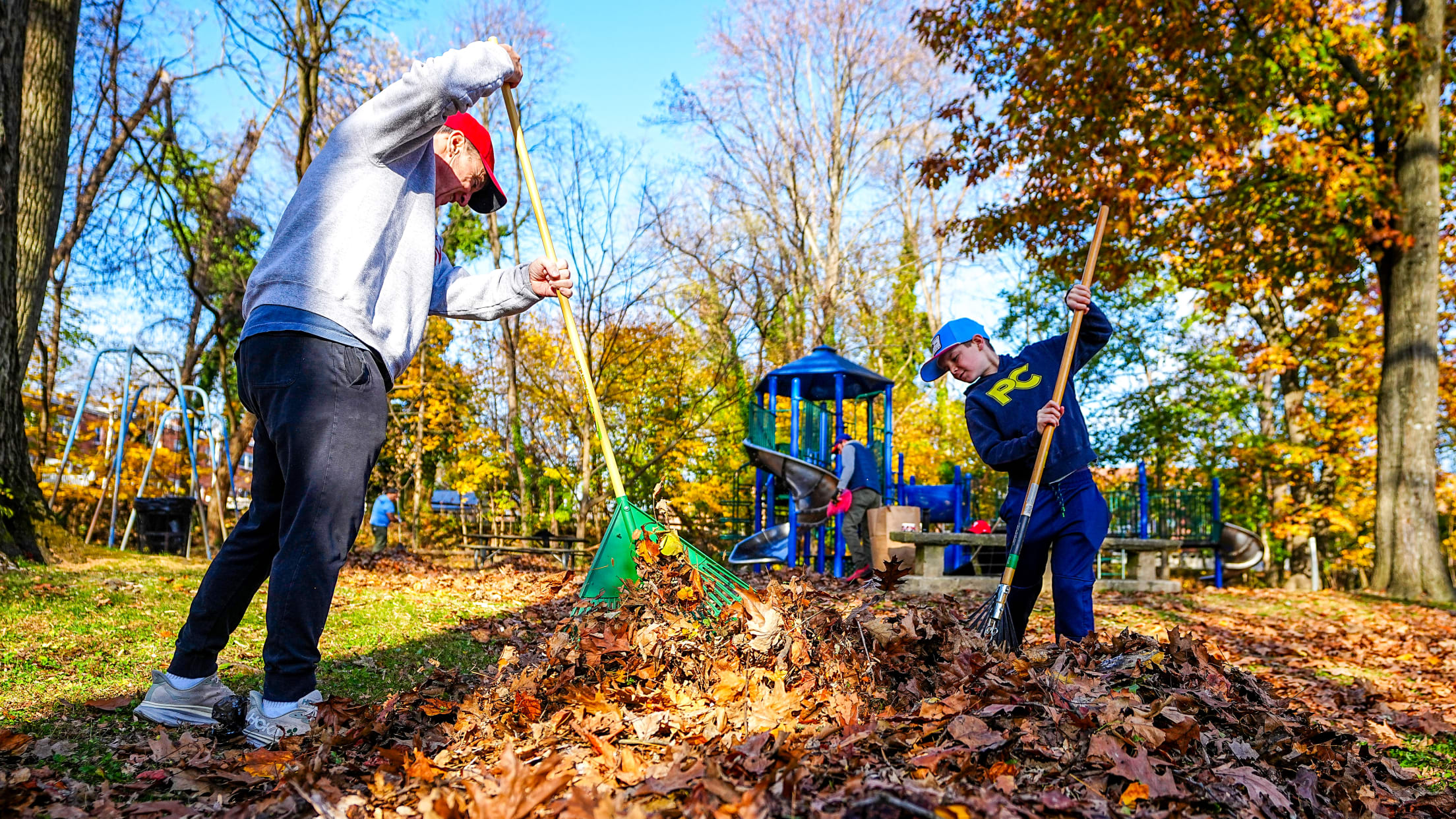 DPMFieldCleanUp166890