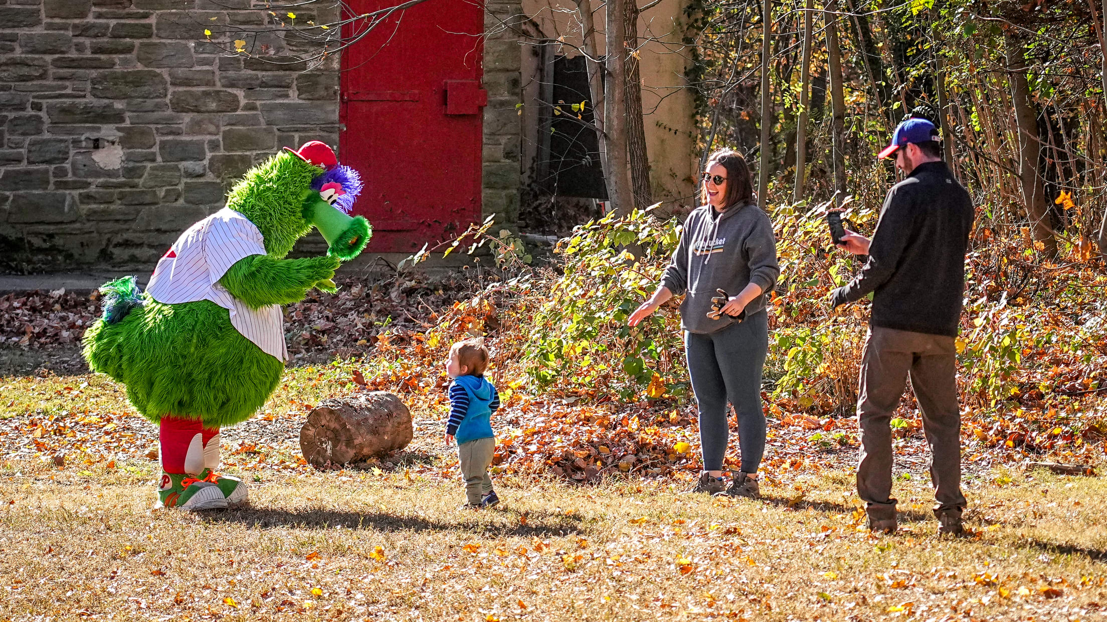 DPMFieldCleanup06745