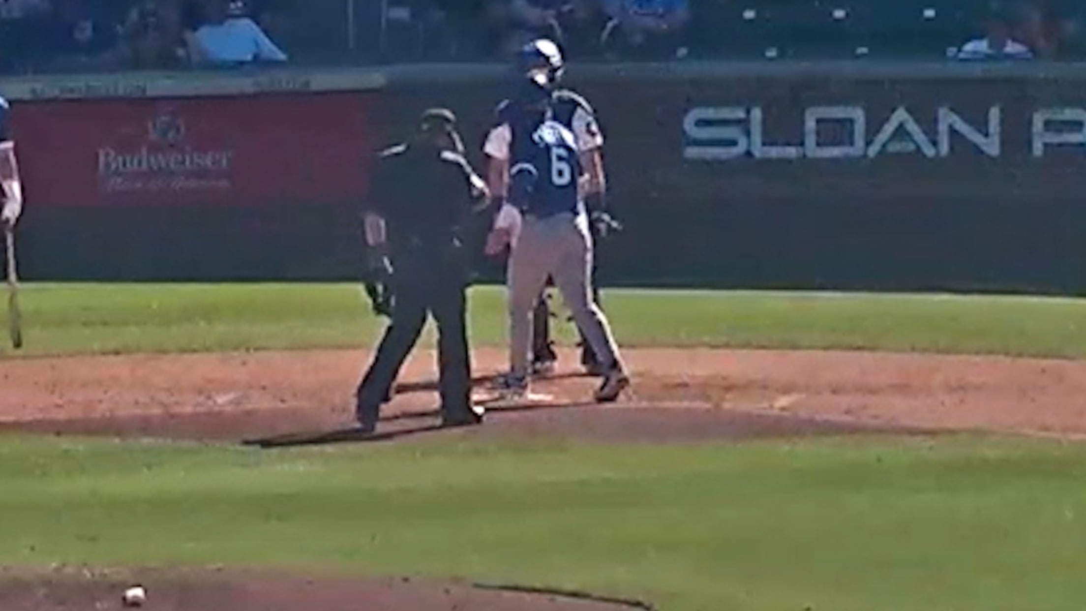 Thomas Saggese's solo home run