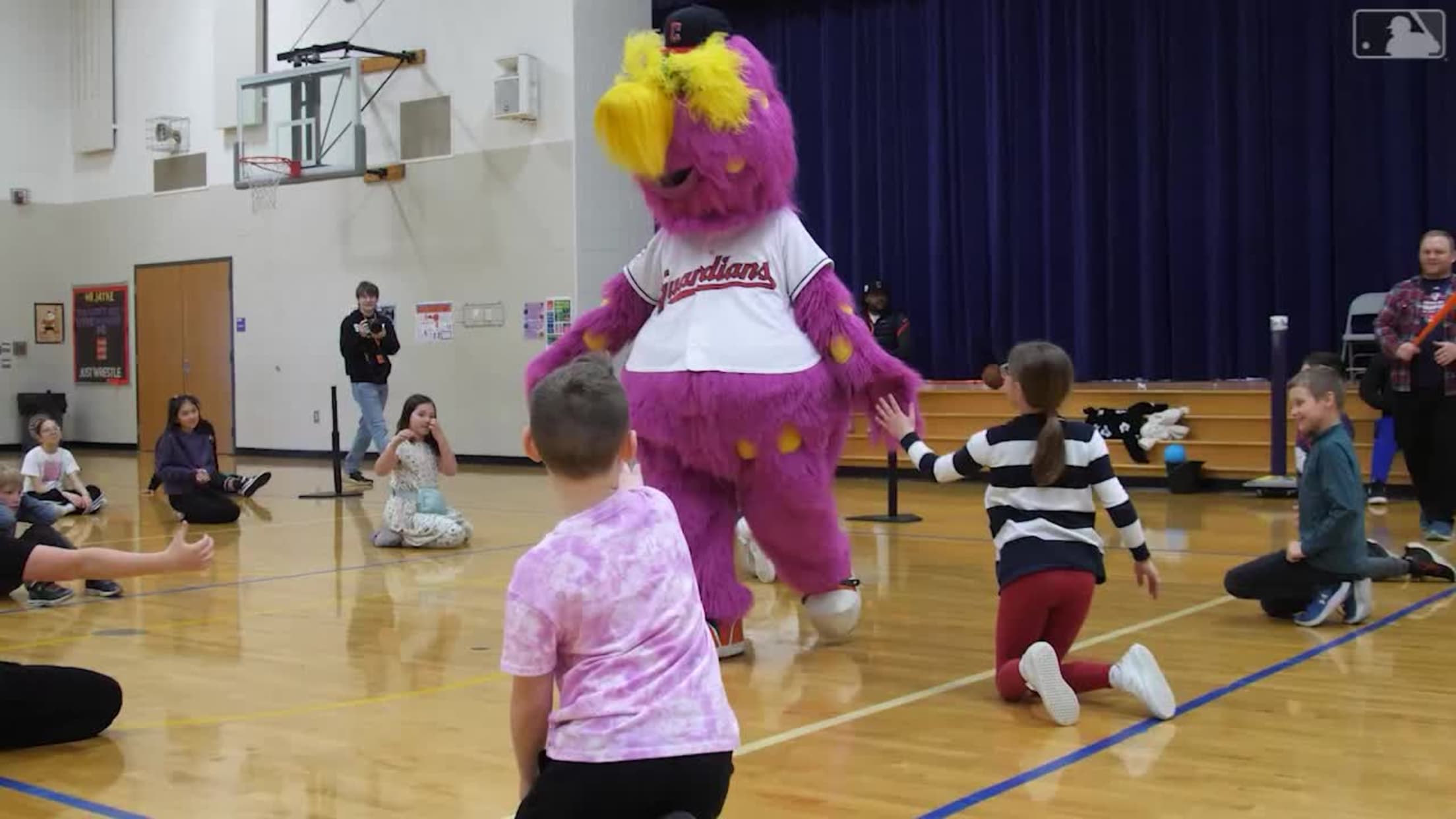 USA Baseball Fun at Bat presented locally by Ohio 529