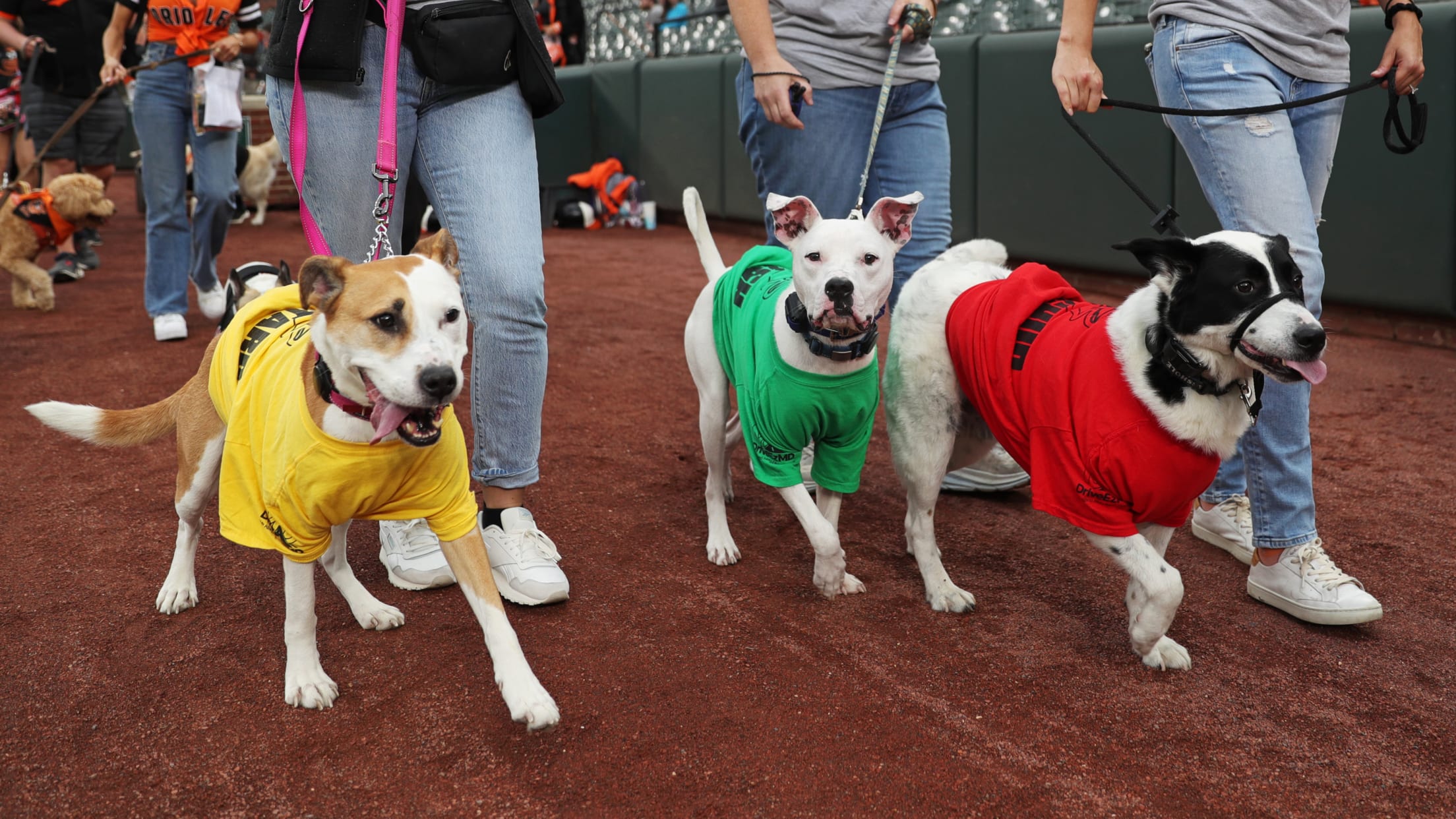 BAL-InFocus-092424-014