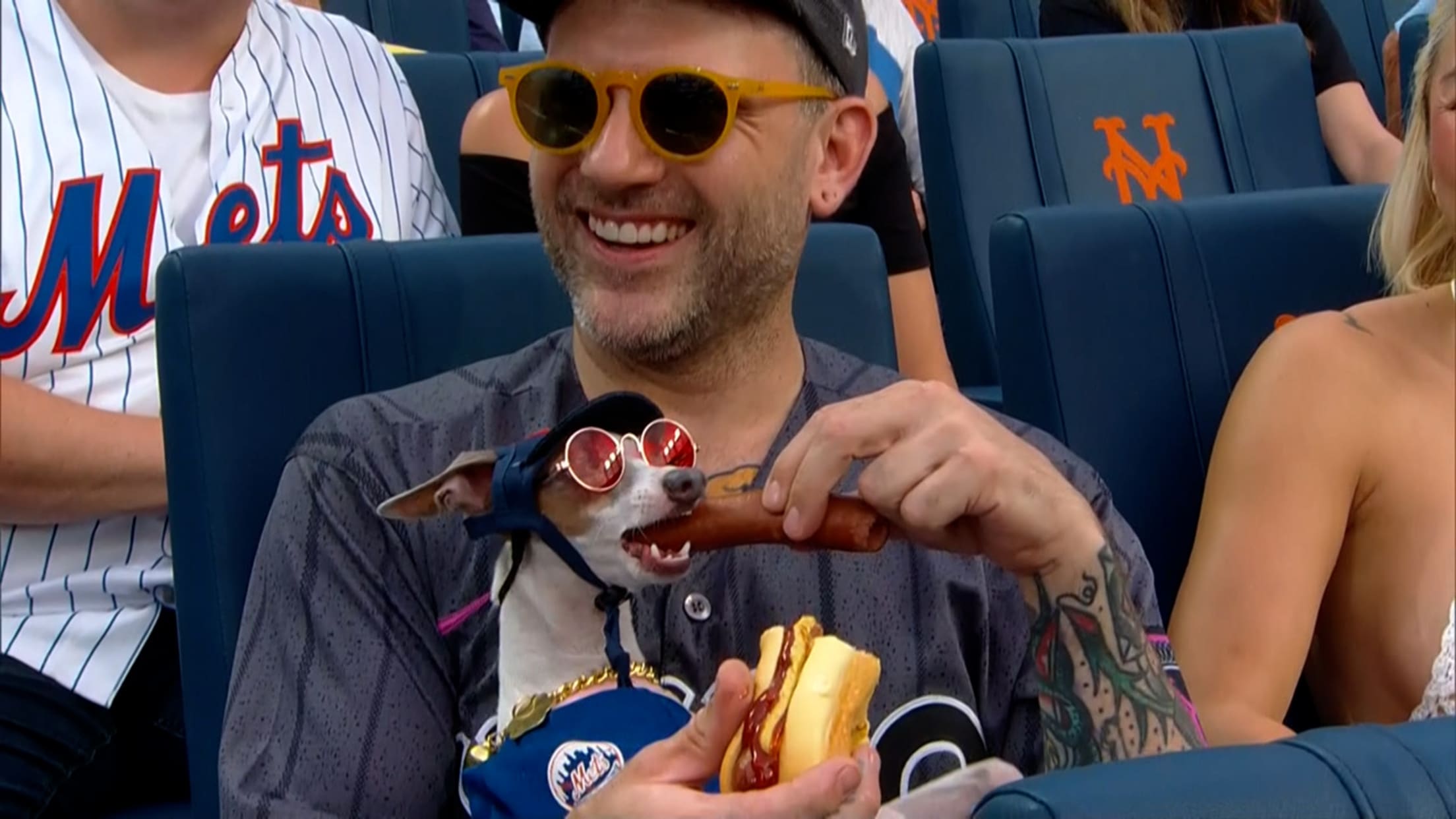 A dog in sunglasses is fed a hot dog at the Mets game