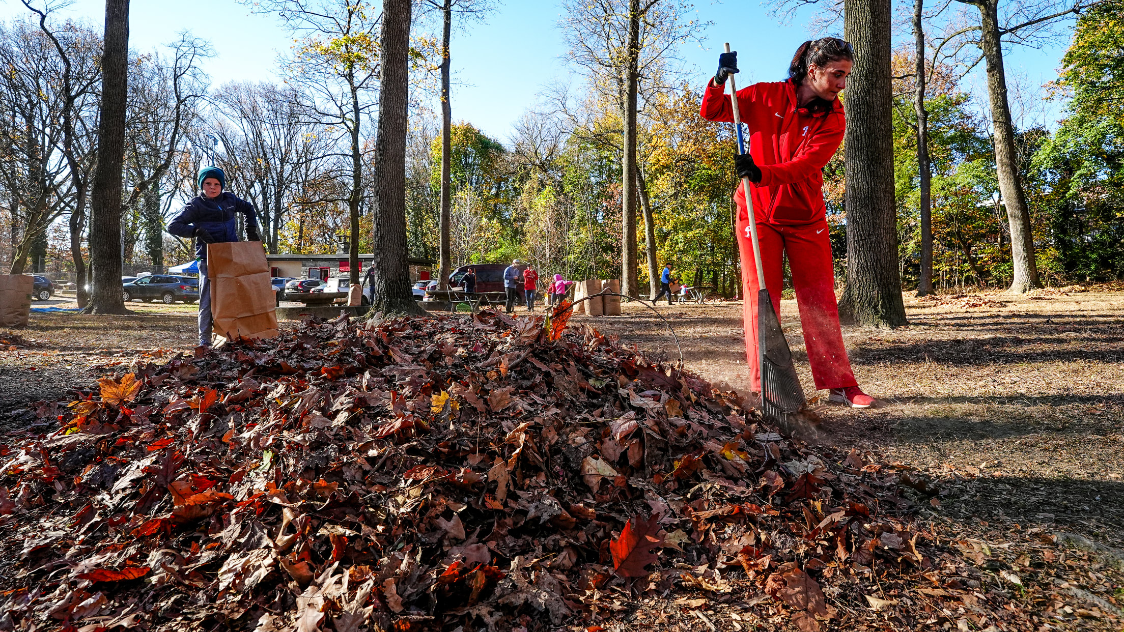 DPMFieldCleanup09126