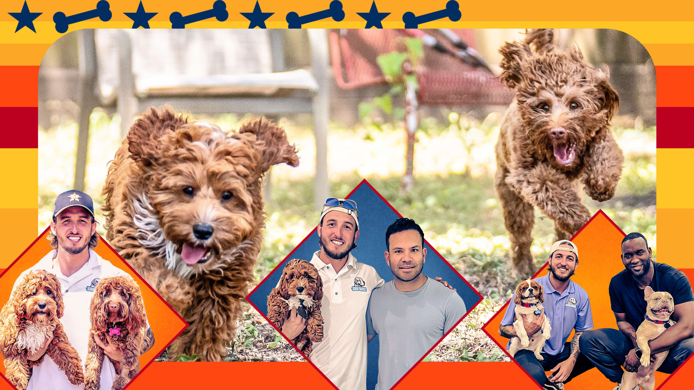 A photo illustration of several dogs, along with images of Wesley Dawe and Astros players