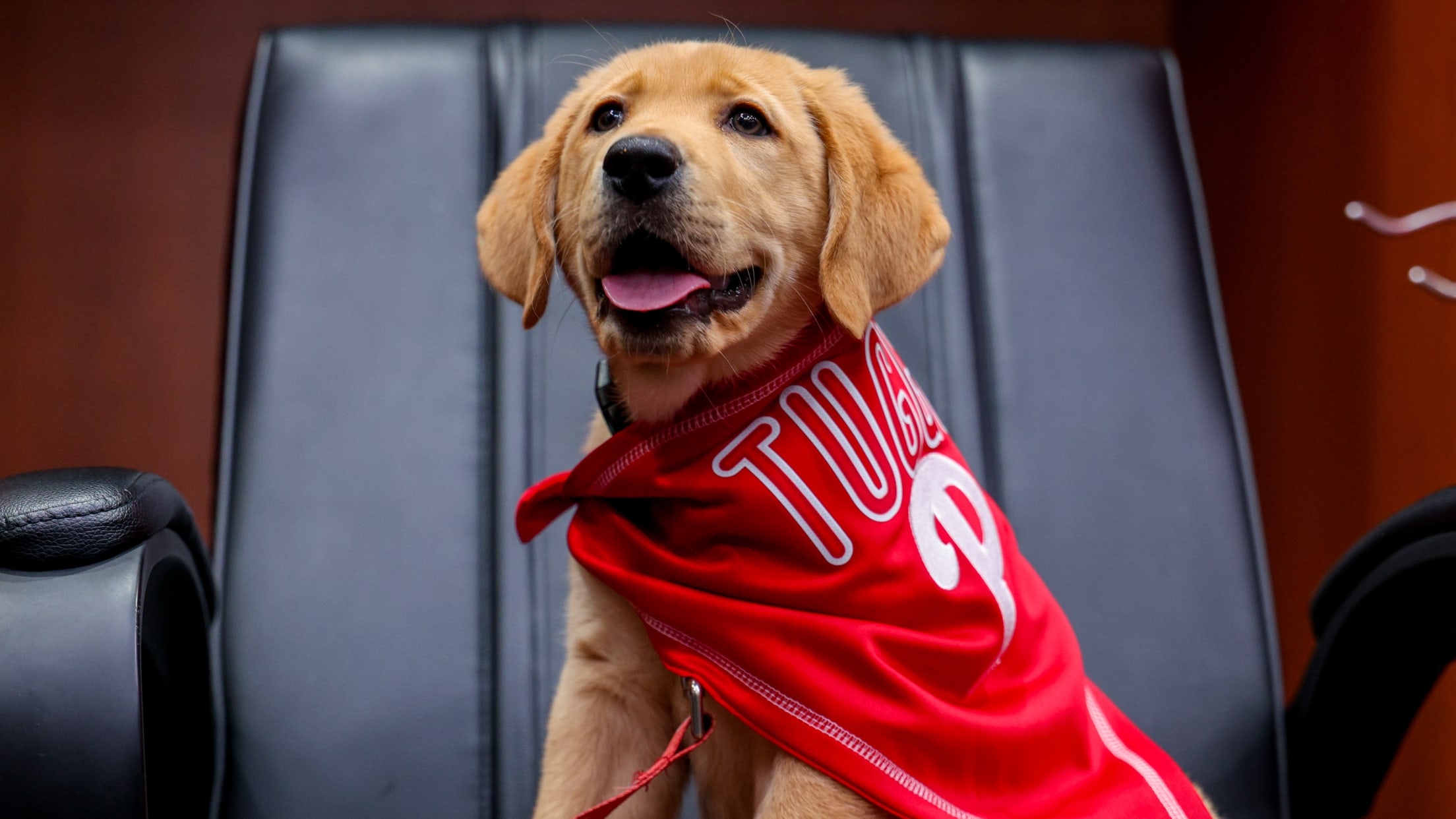 20250624_Team Foster Puppy Reveal_-2