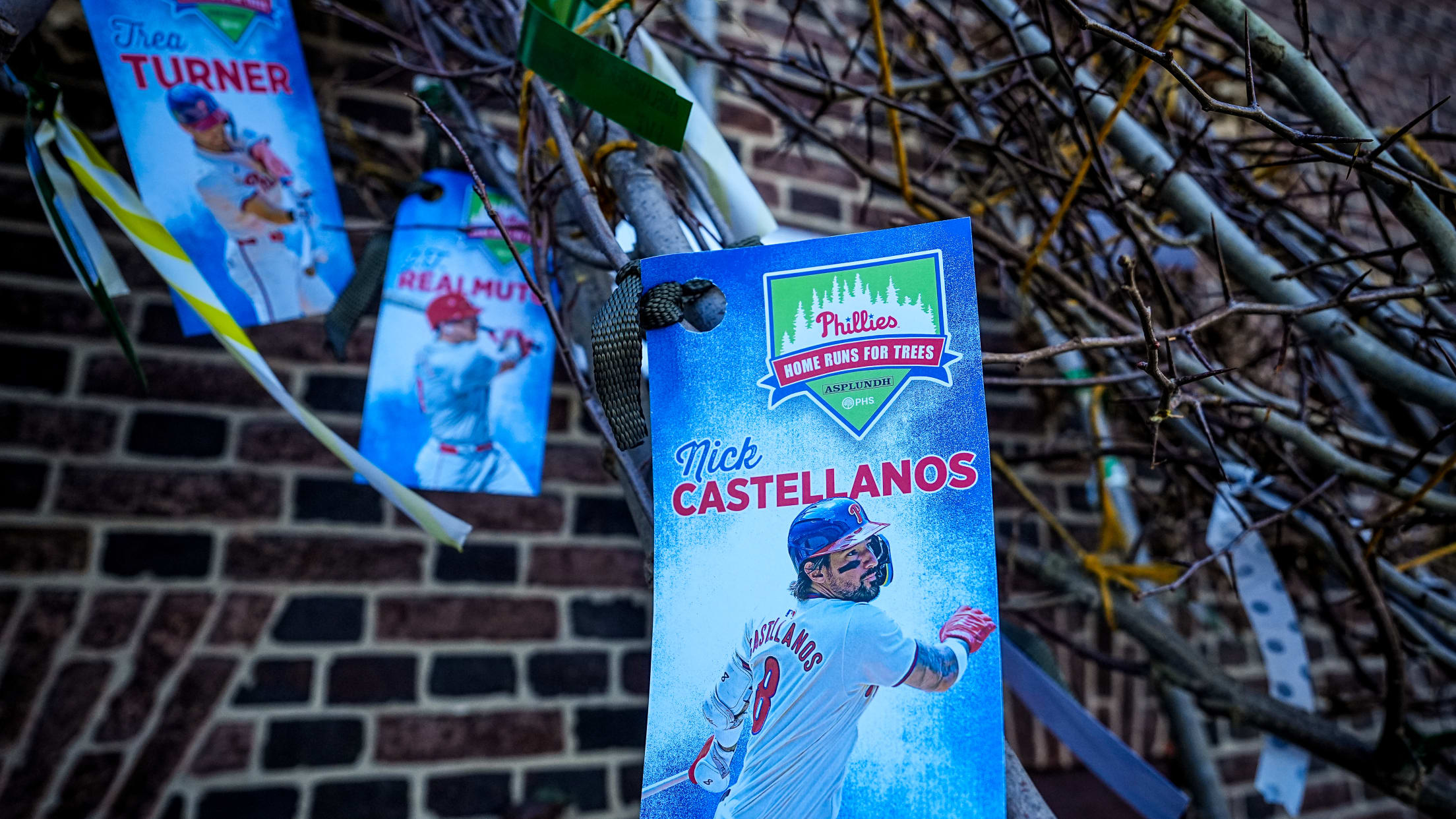 HomeRunsforTrees06824