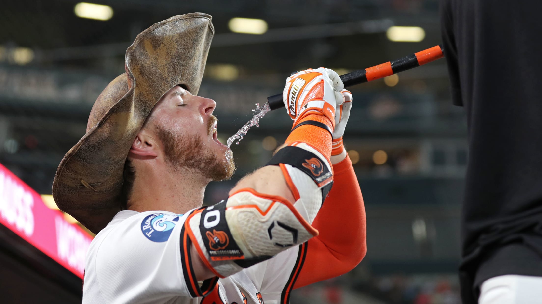 bal_Birdland_Insider_Connor_Photos_049