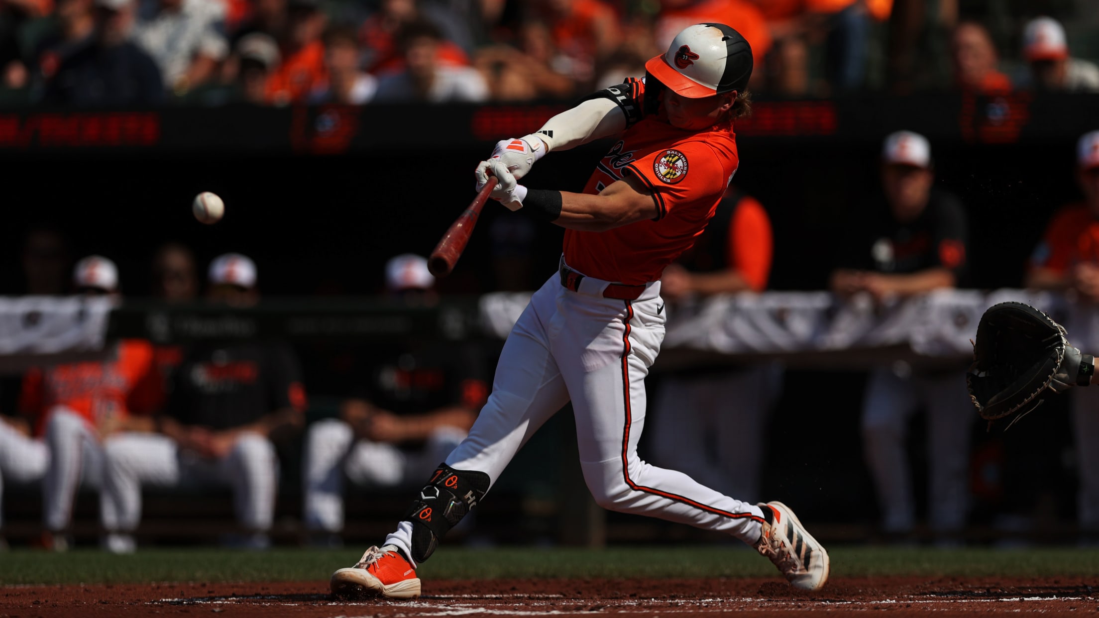 bal_Birdland_Insider_Connor_Photos_007