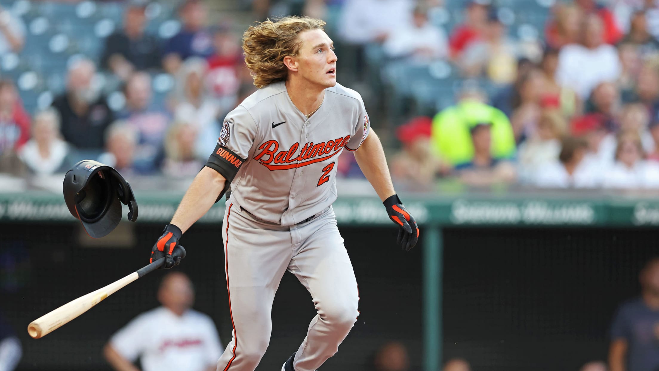 Os_BI_MiLBFarmSystem - 001