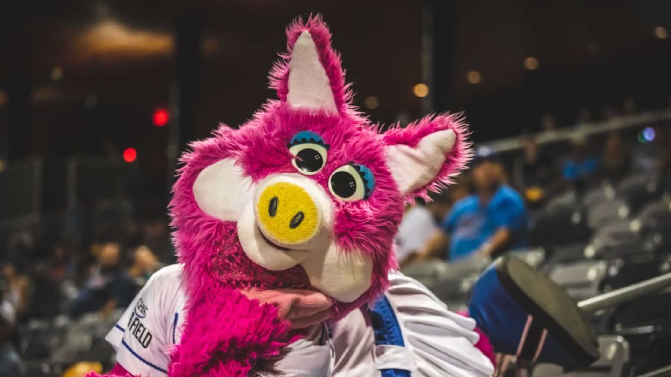 fero5swin9pfscgbgy3l