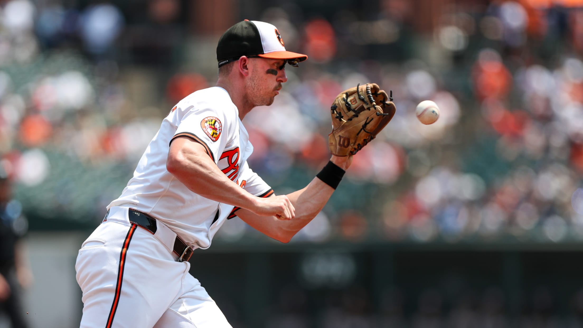 BAL-BI-bestof2024-anna-121824-026