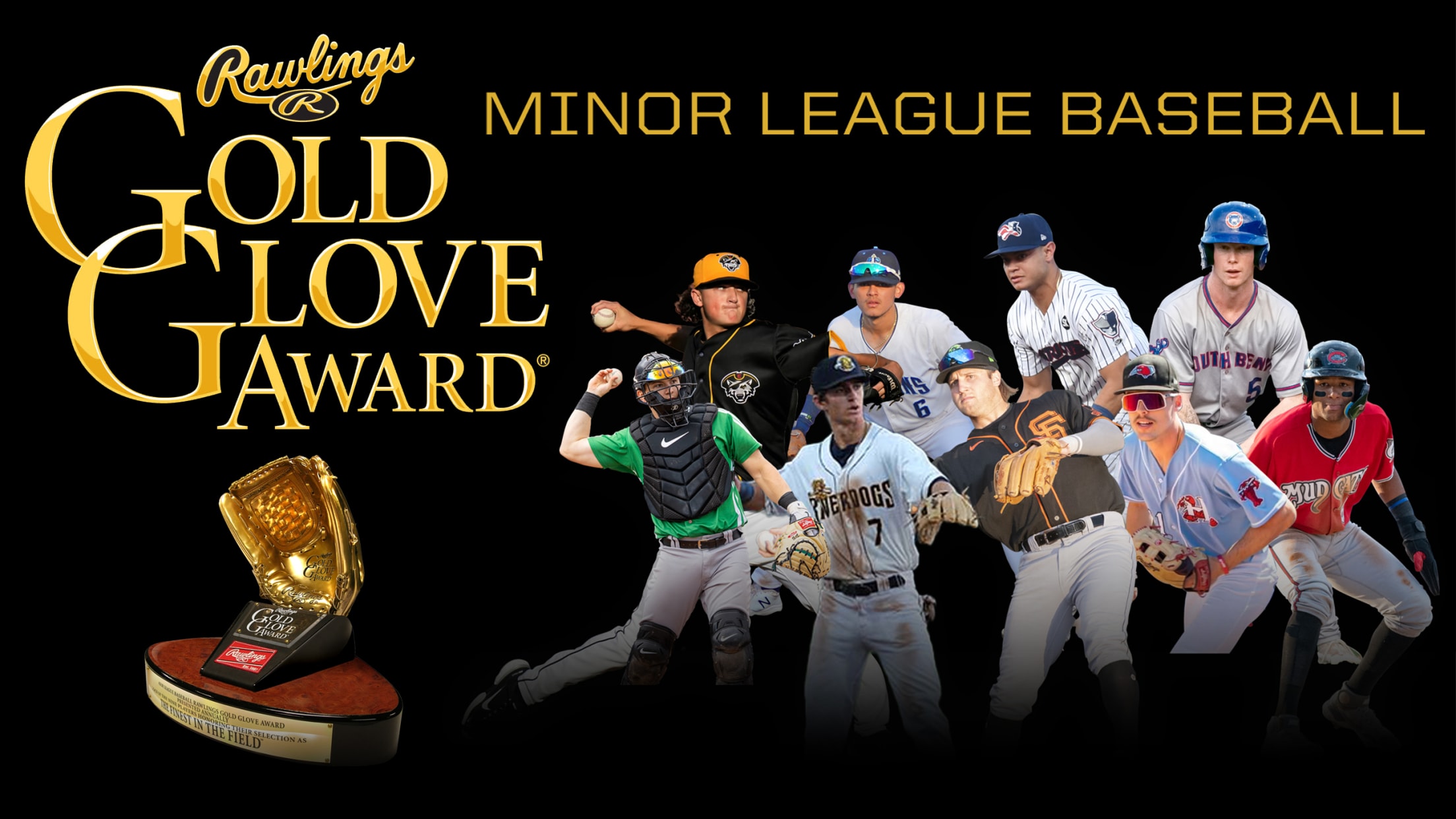 Rawlings Gold Glove Recipients