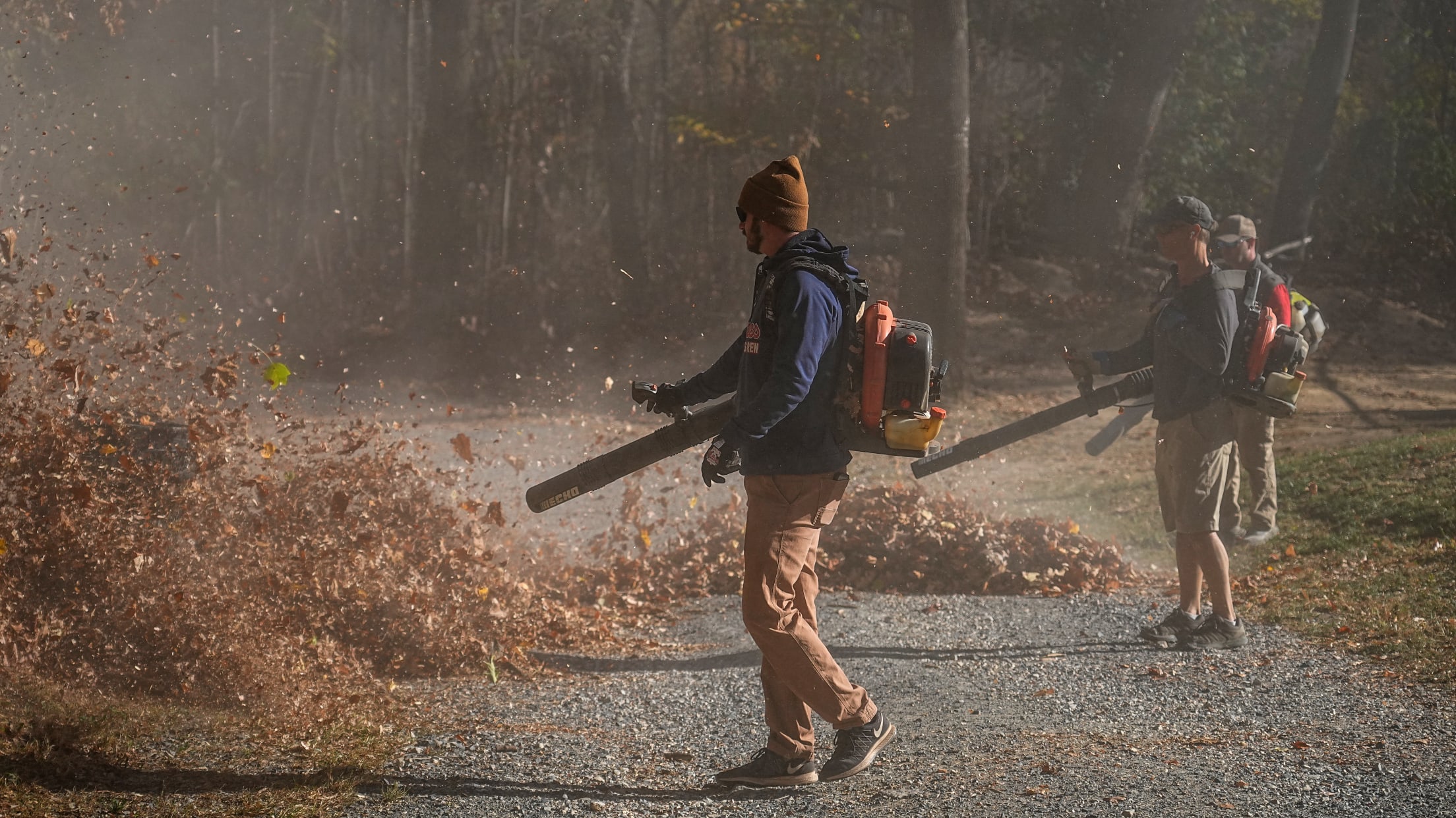 DPMFieldCleanup06699