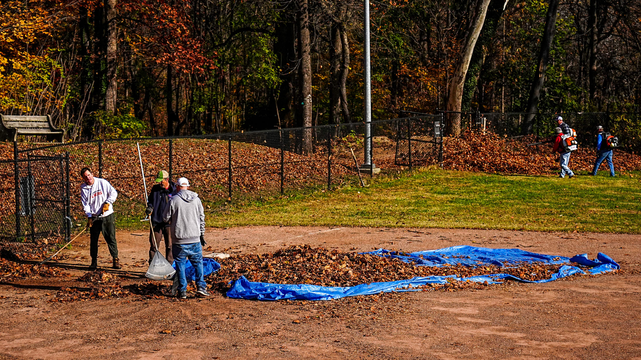 DPMFieldCleanUp167533