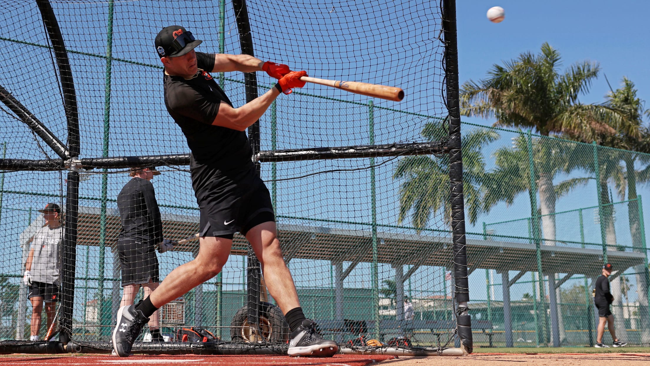 Os_BI_MiLBFarmSystem - 005