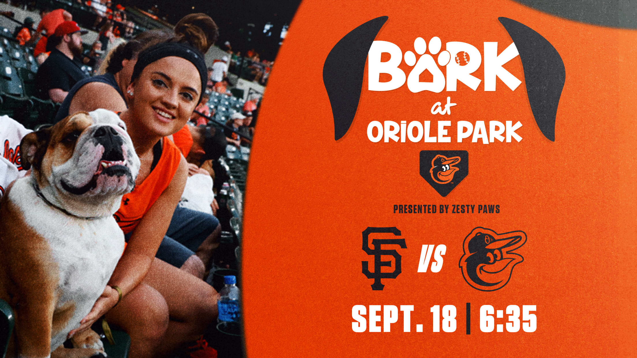 Is Tonight Dog Night at Orioles Game? Unleash the Fun!