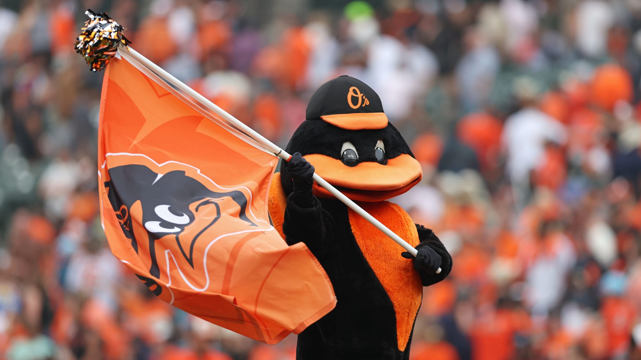 bal_Birdland_Insider_Connor_Photos_050