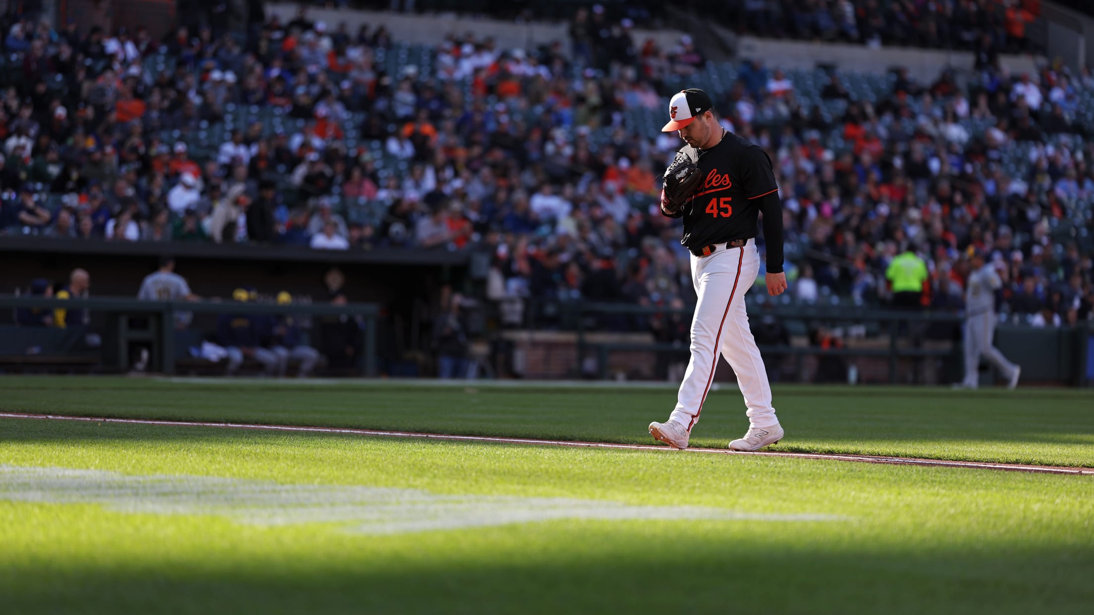 BAL-bestof2024-todd-122024-010