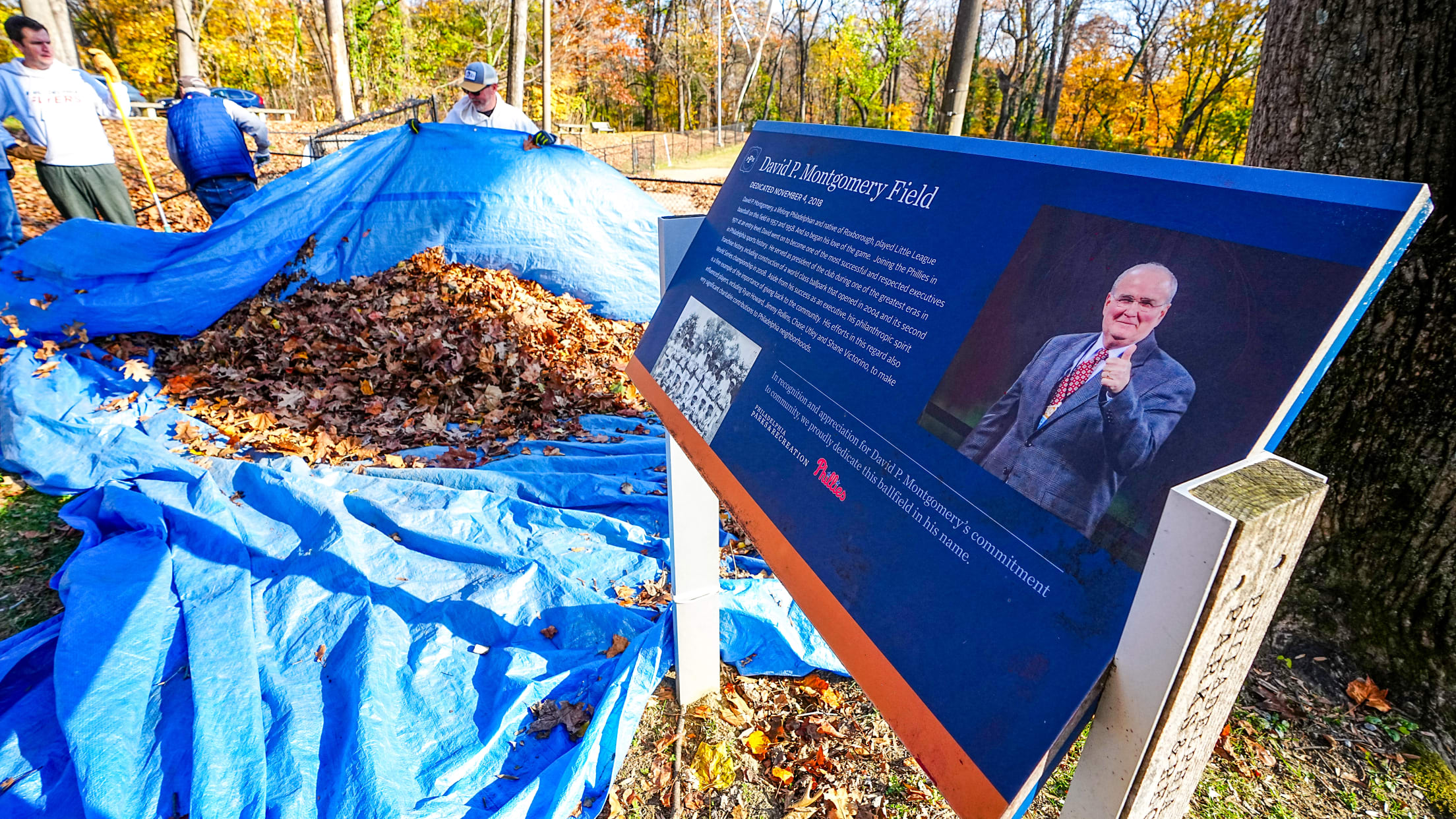 DPMFieldCleanUp167119