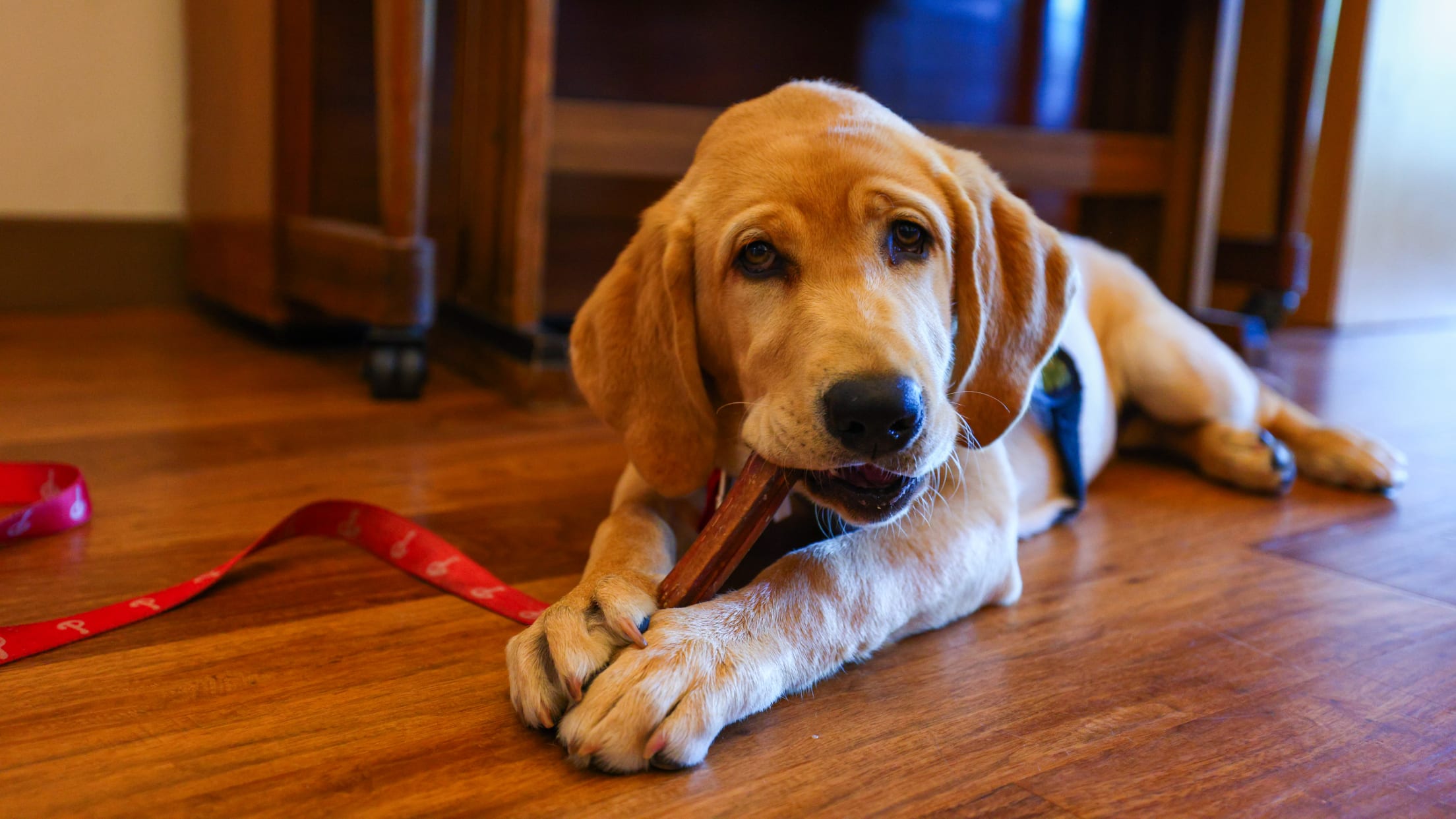 20250911_Tugger Veteran Visit-1