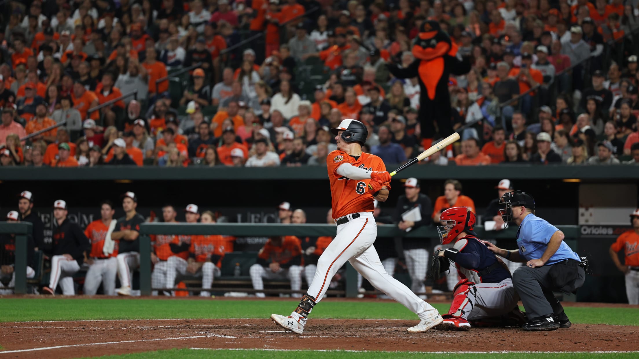 BAL- BI - Homestand In Focus - 1003 - 092