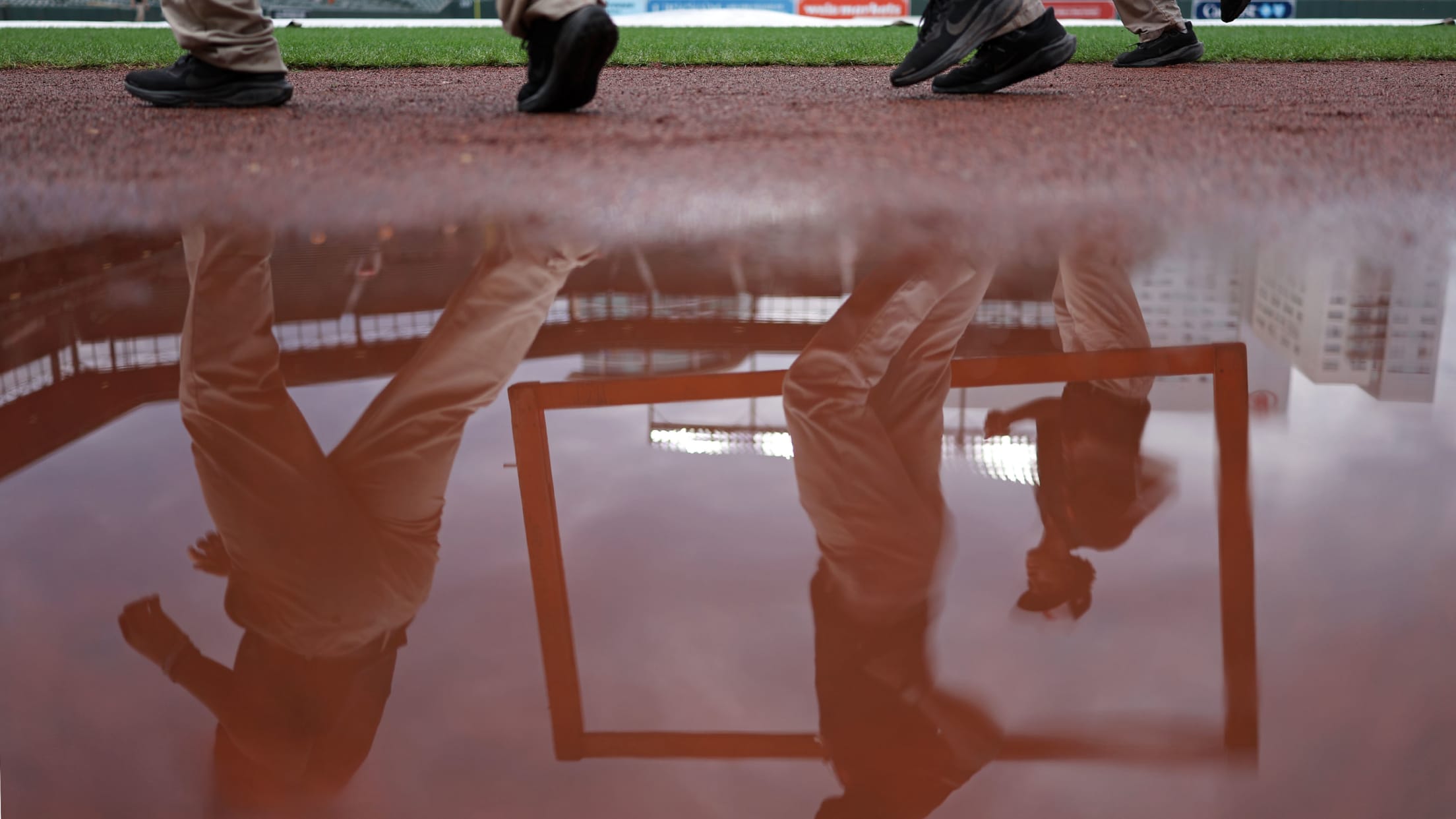 bal_Birdland_Insider_Todd_Photos_0045