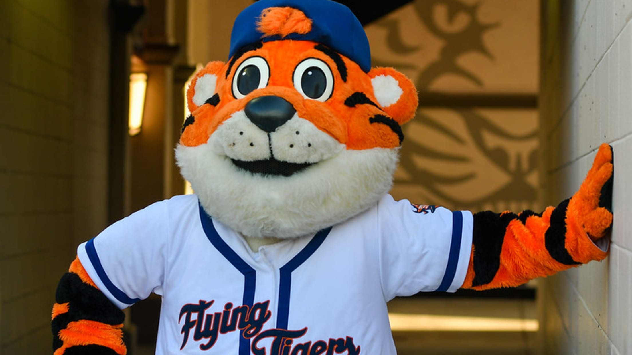 Detroit Tigers: Paws 2021 Mascot - Officially Licensed MLB