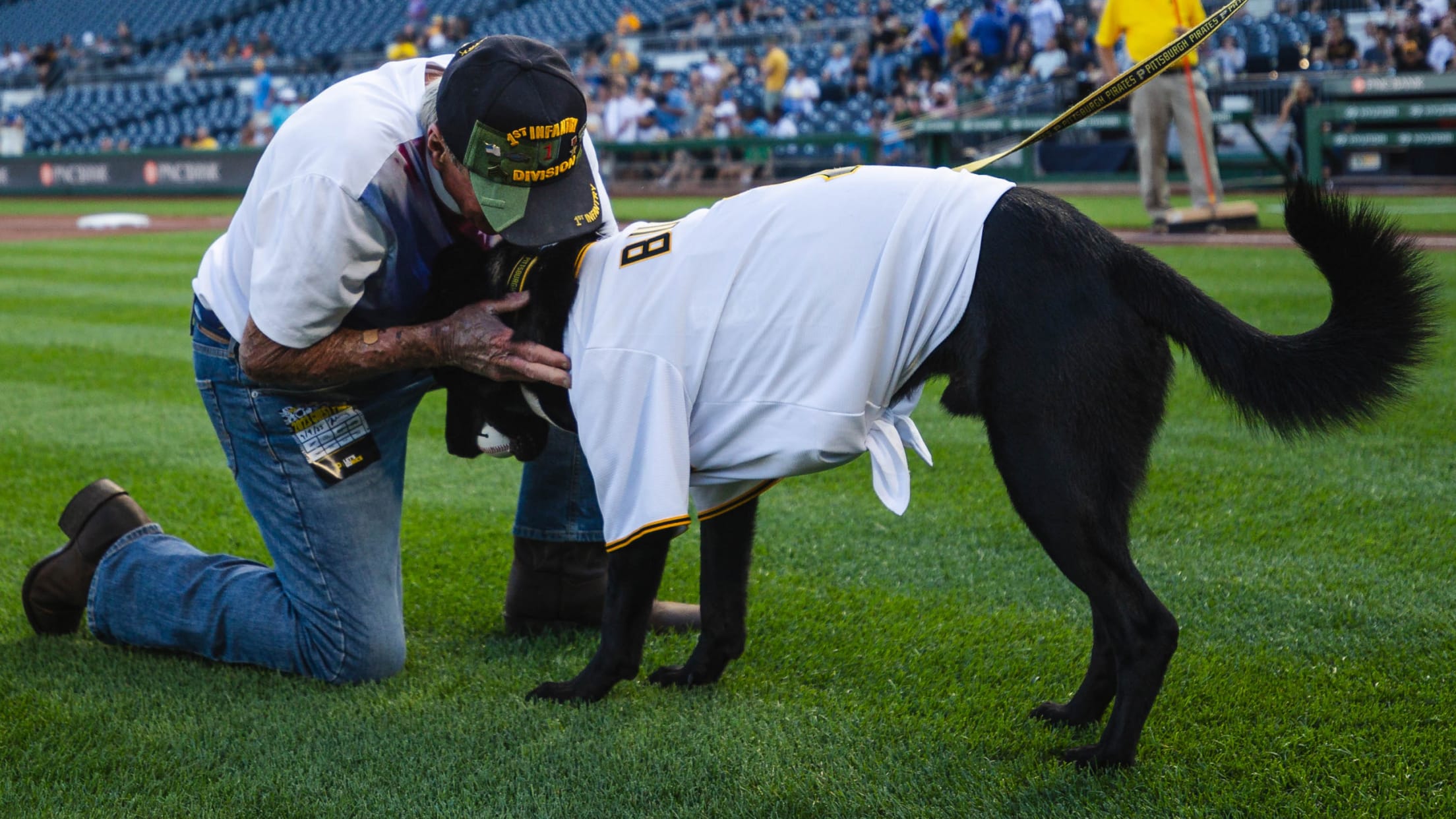 MLB Medium Pittsburgh Pirates Dog T-Shirt
