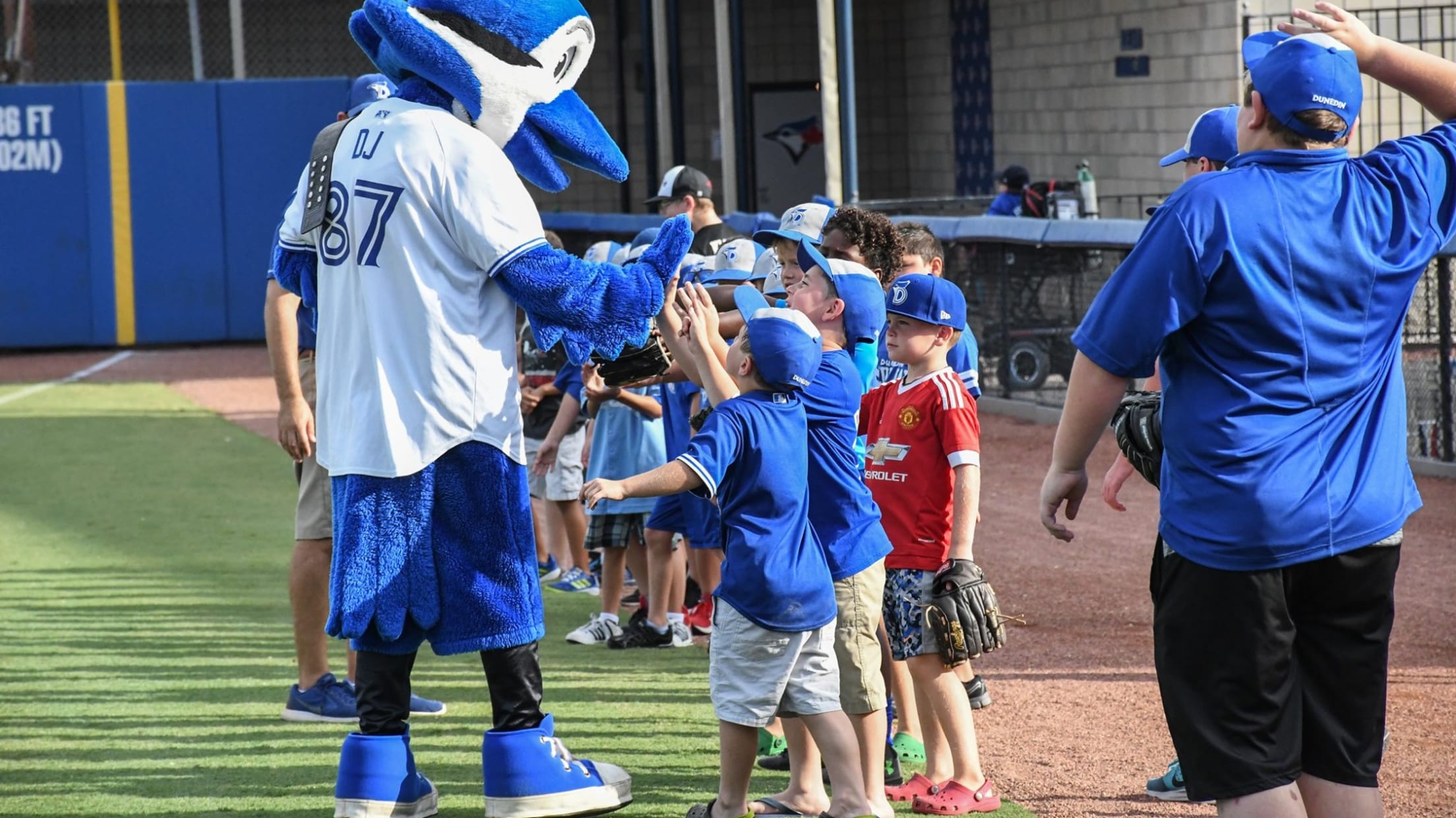 Explore TD Ballpark home of the Dunedin Blue Jays