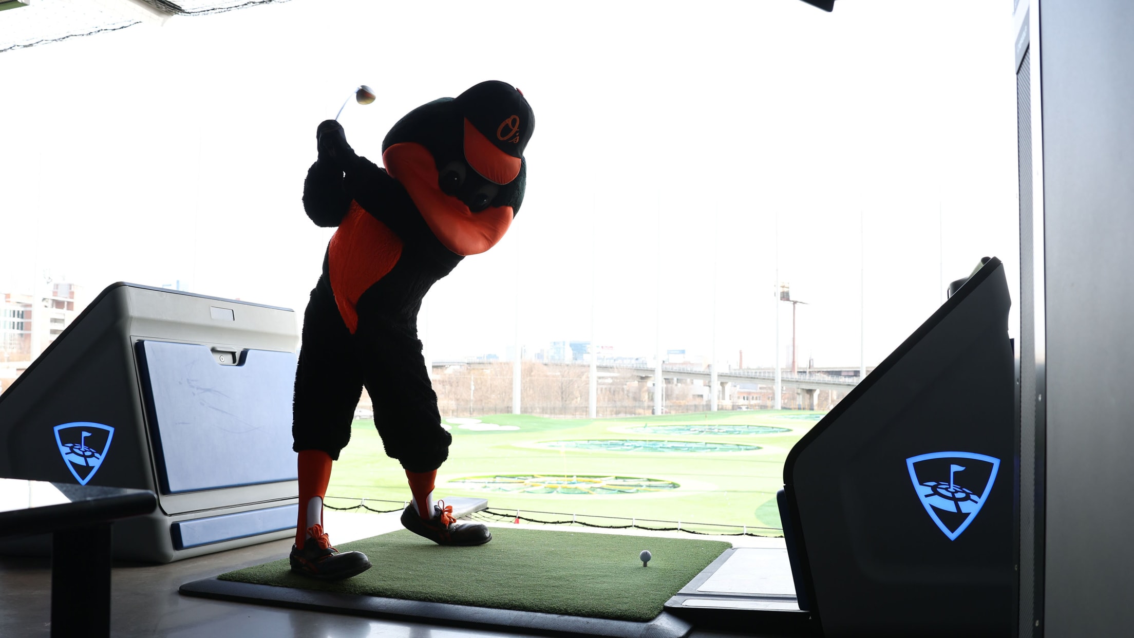 BAL-Insider-BirdlandCaravan - 068