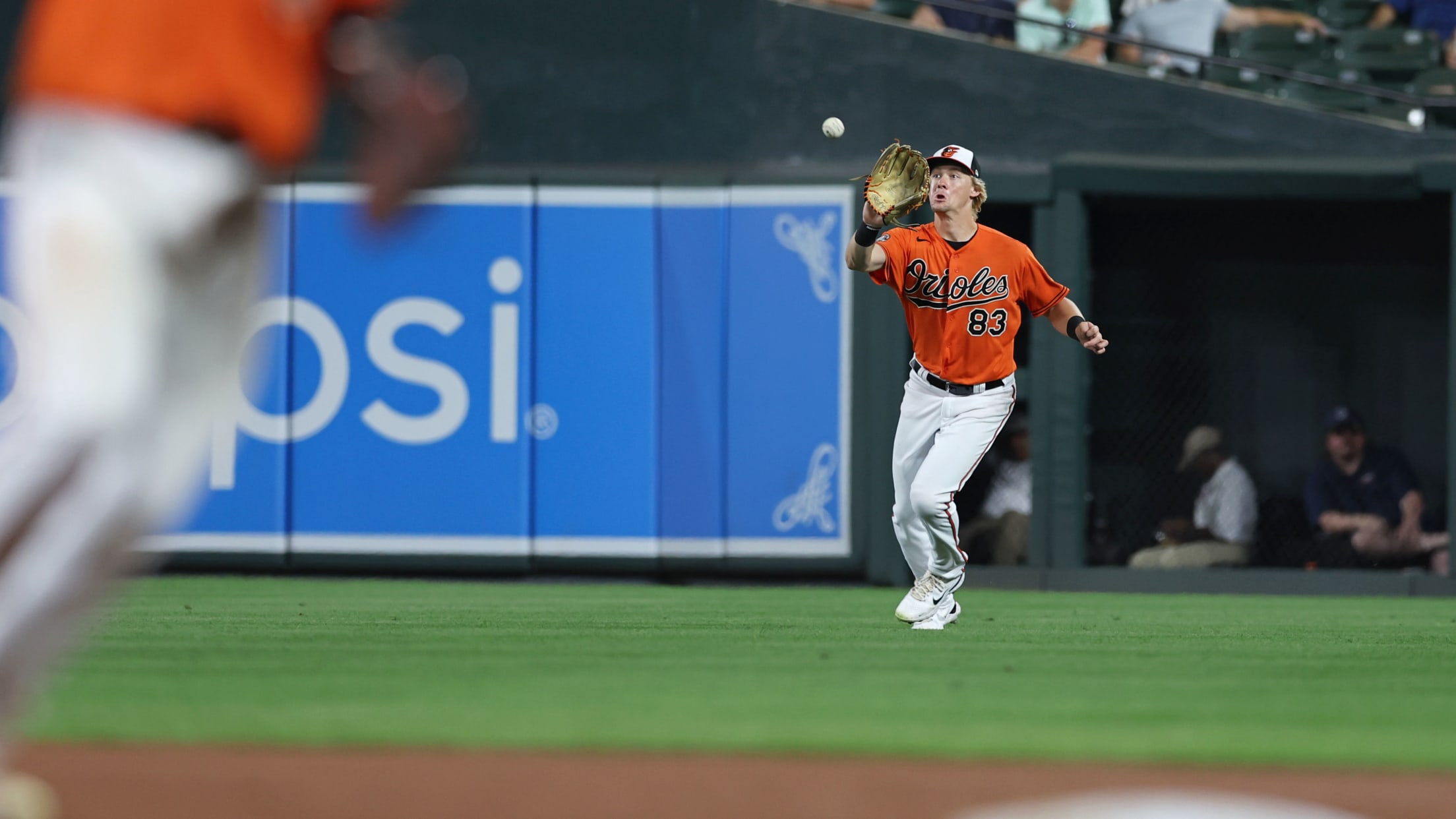 BAL-BI - Stowers Rapid Qs - 002