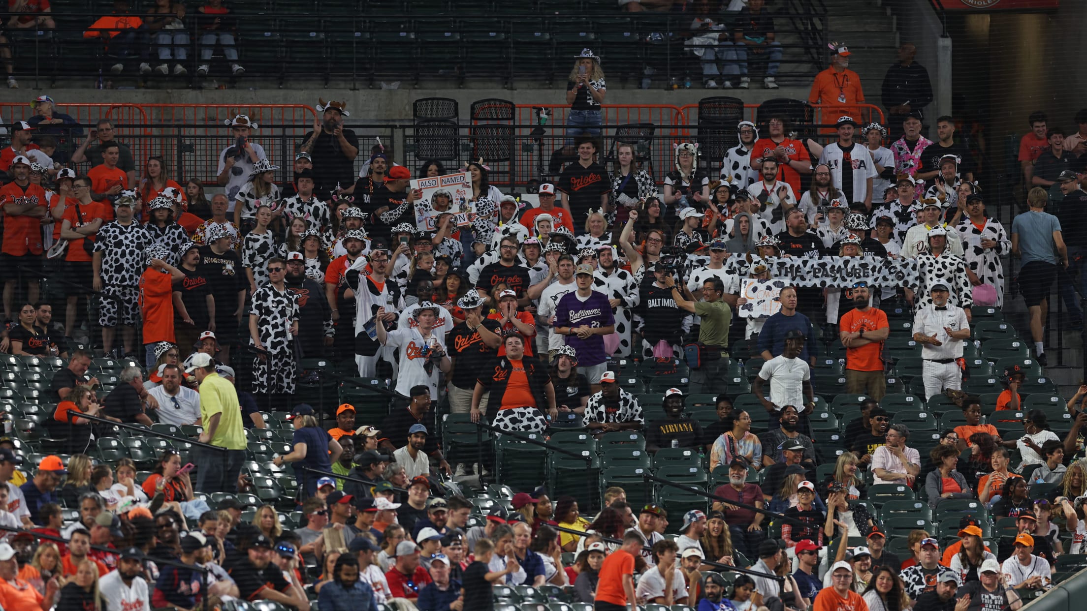 BAL-InFocus-061724-015