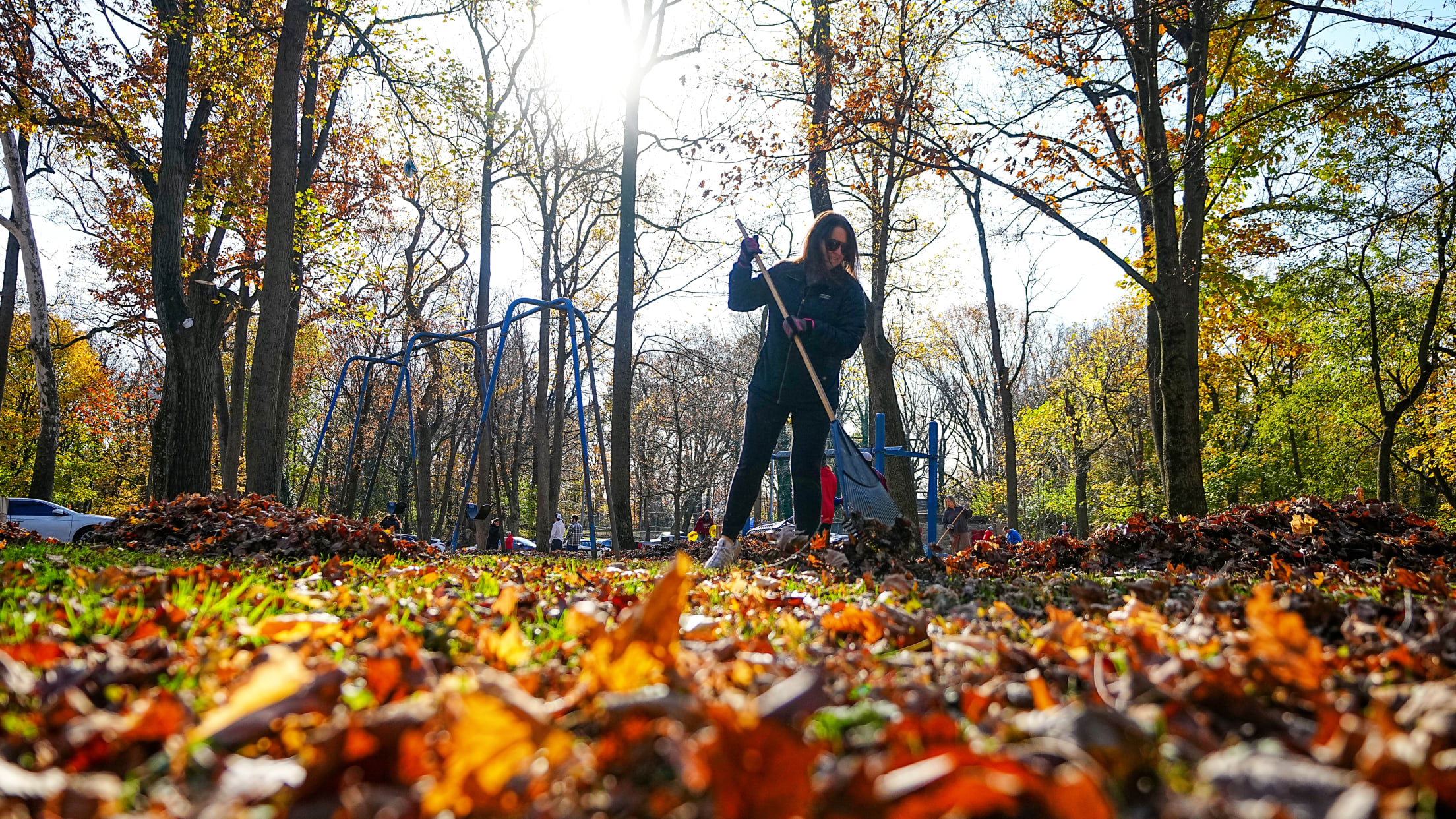 DPMFieldCleanUp167216