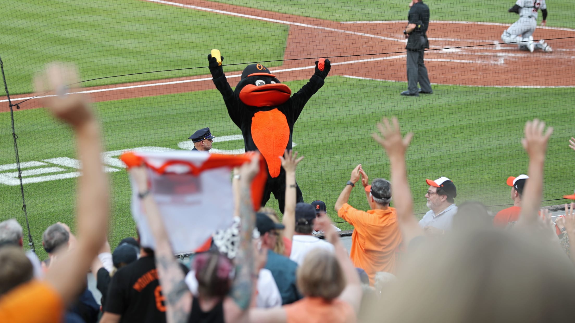 bal_Birdland_Insider_Connor_Photos_002