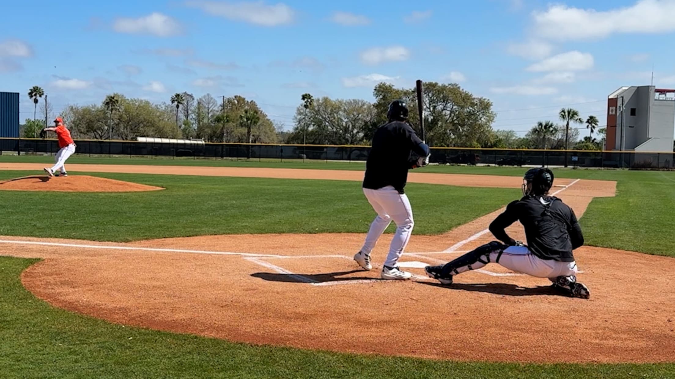 Justin Verlander's live BP 
