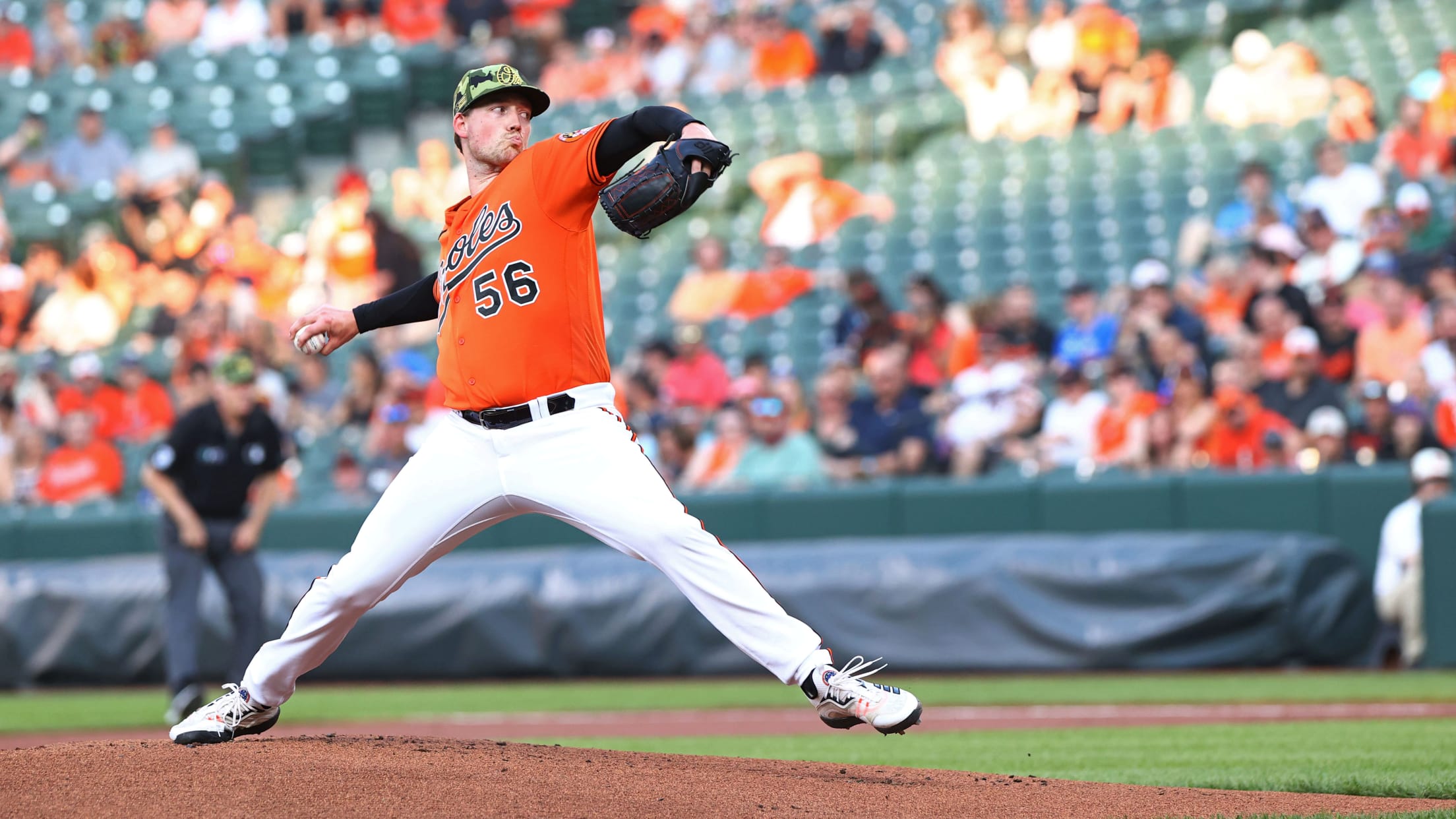 BAL- BI - Bradish 20 Q -  010