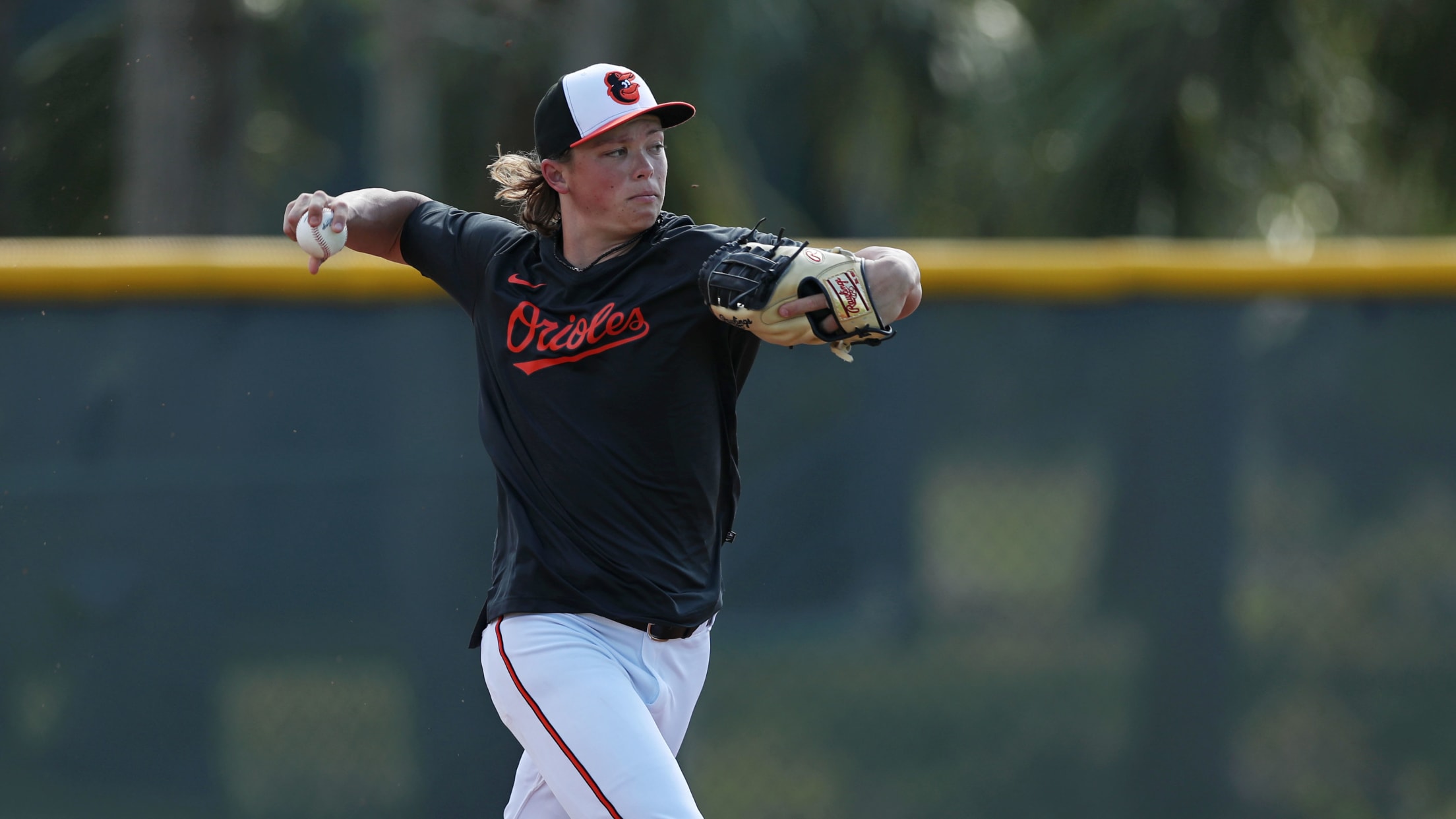 Os_BI_MiLBFarmSystem - 009