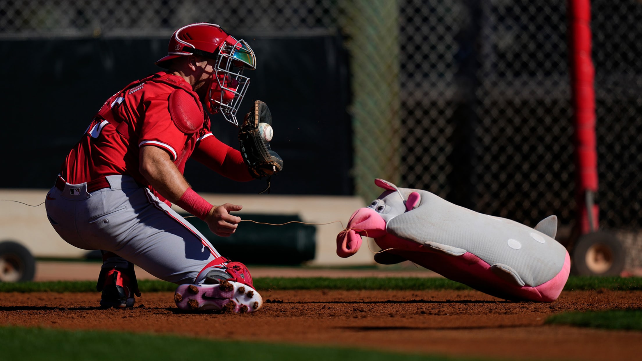 A Reds catcher practices tagging on a toy hippo
