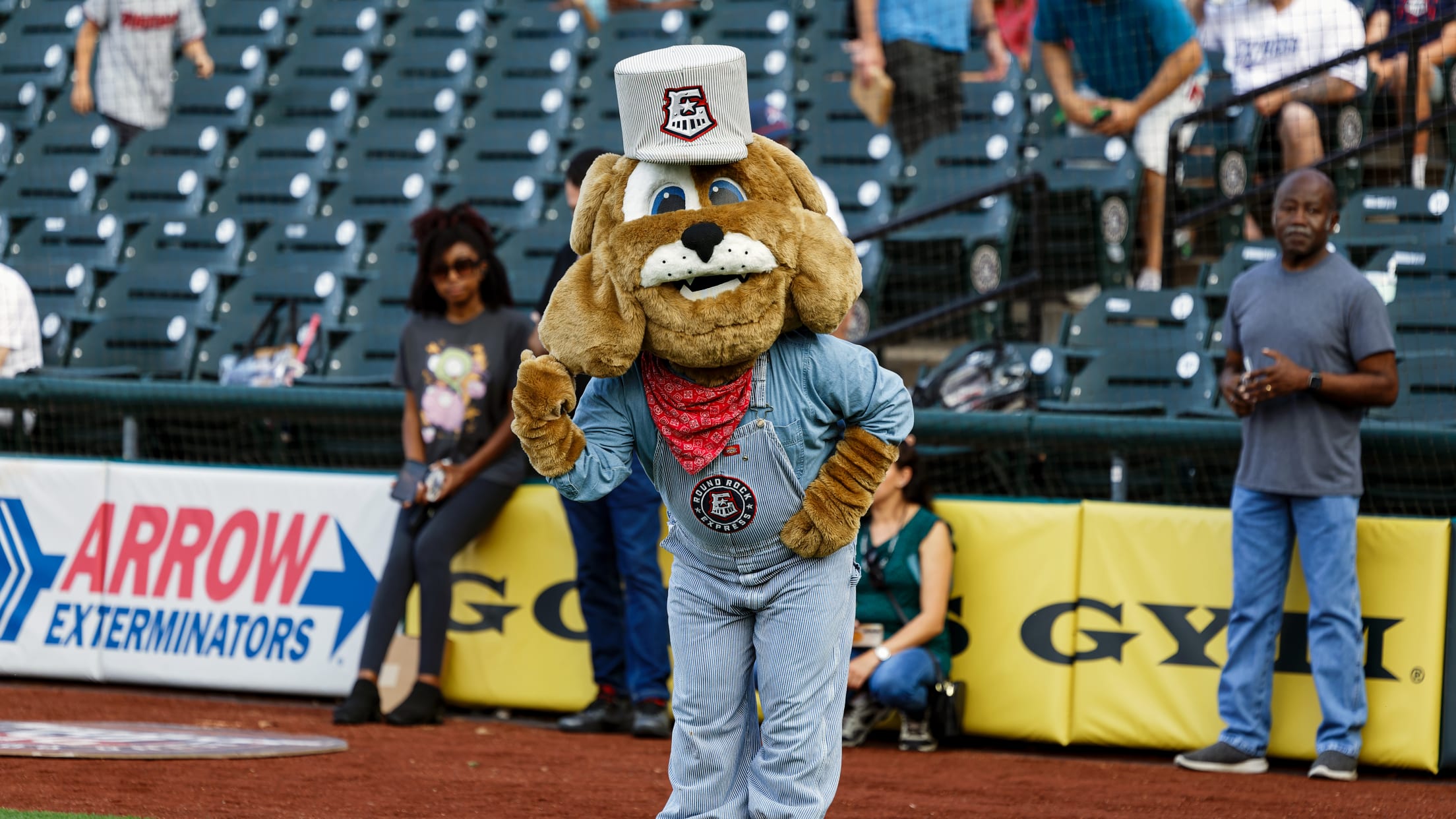 Spike_Eddie_Kelly_278350