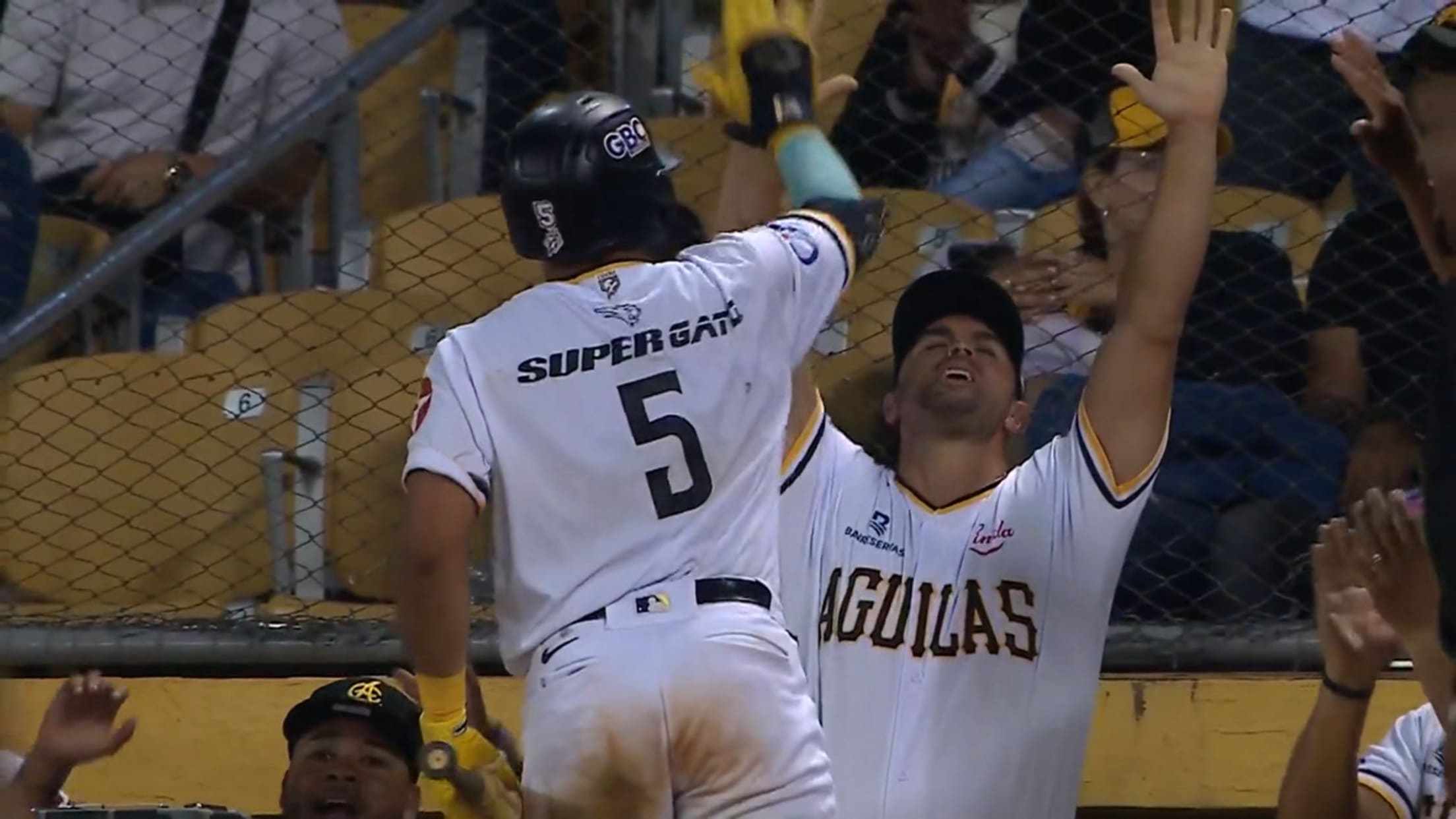 Steward Berroa produce por pelotazo