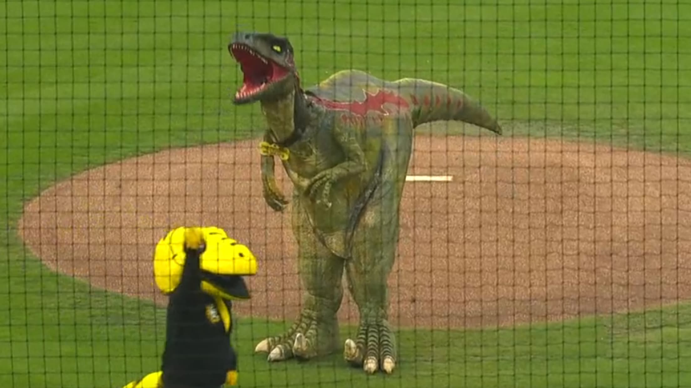 A Tyrannosaurus rex prepares to throw out a first pitch