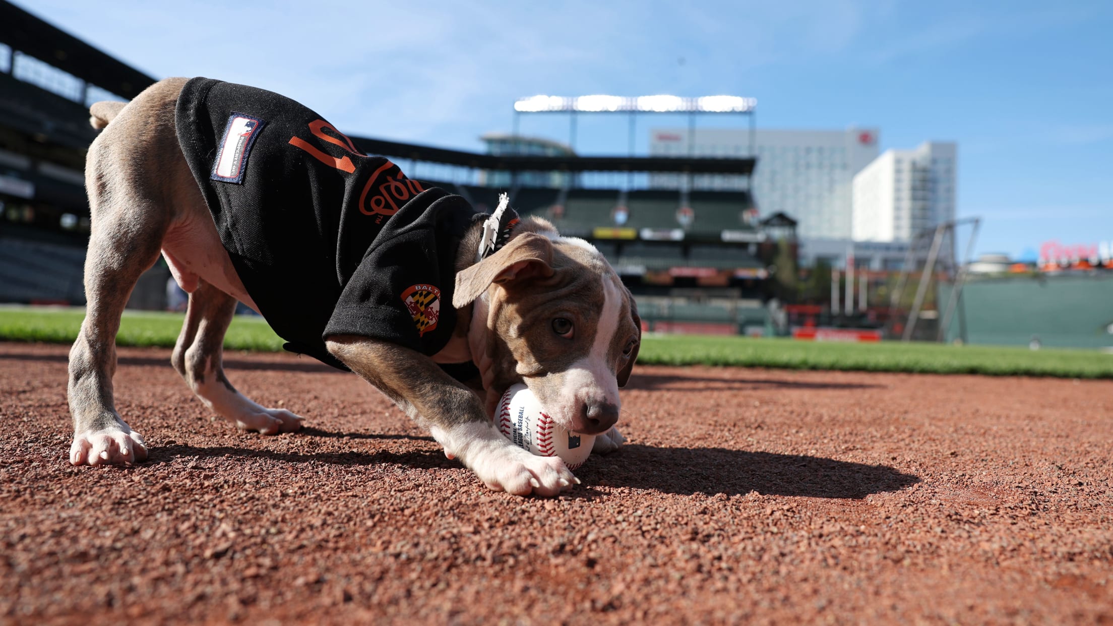 BAL_BI_HomestandInFocus_04192024 - 065