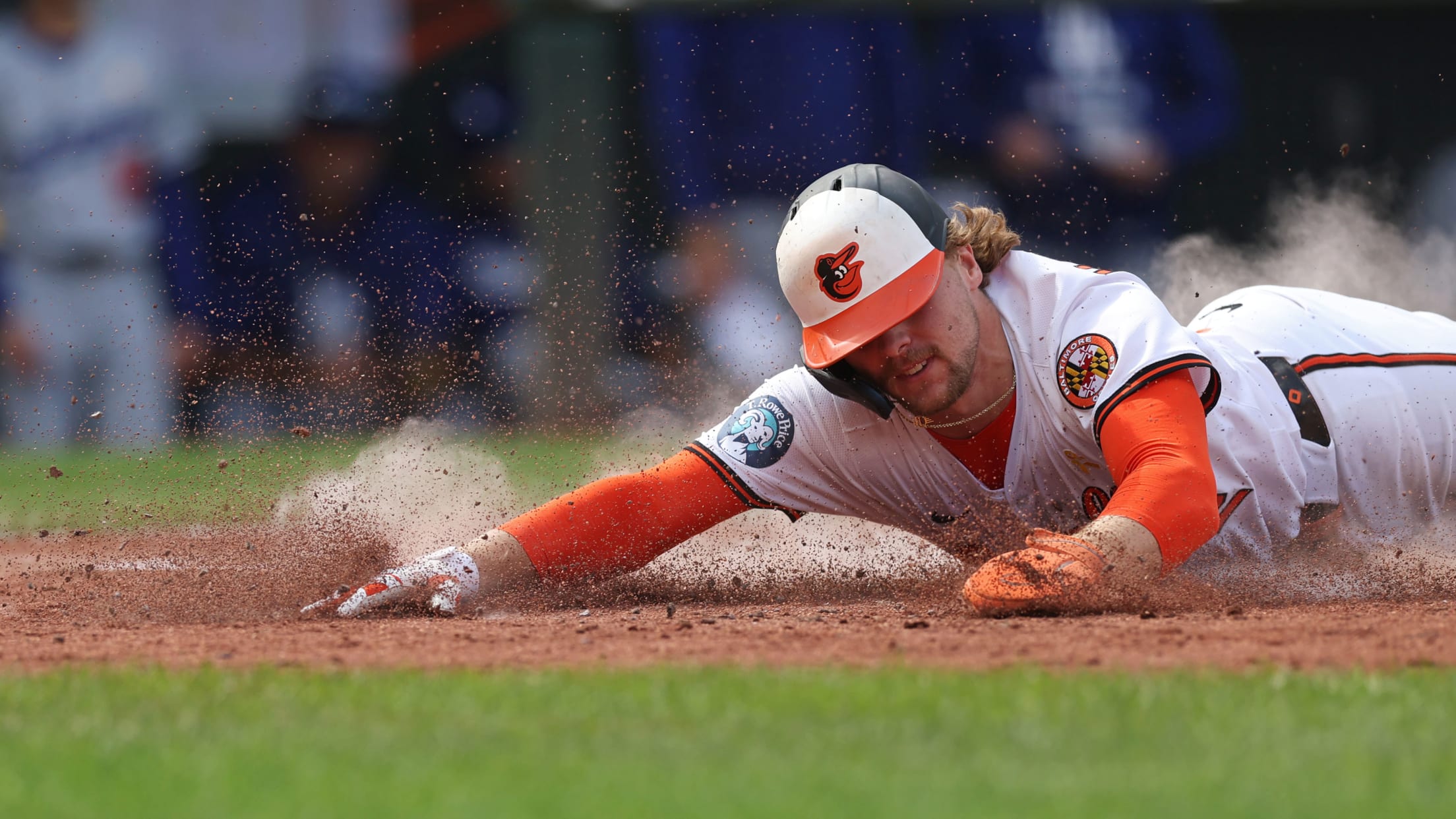 bal_Birdland_Insider_Todd_Photos_0064