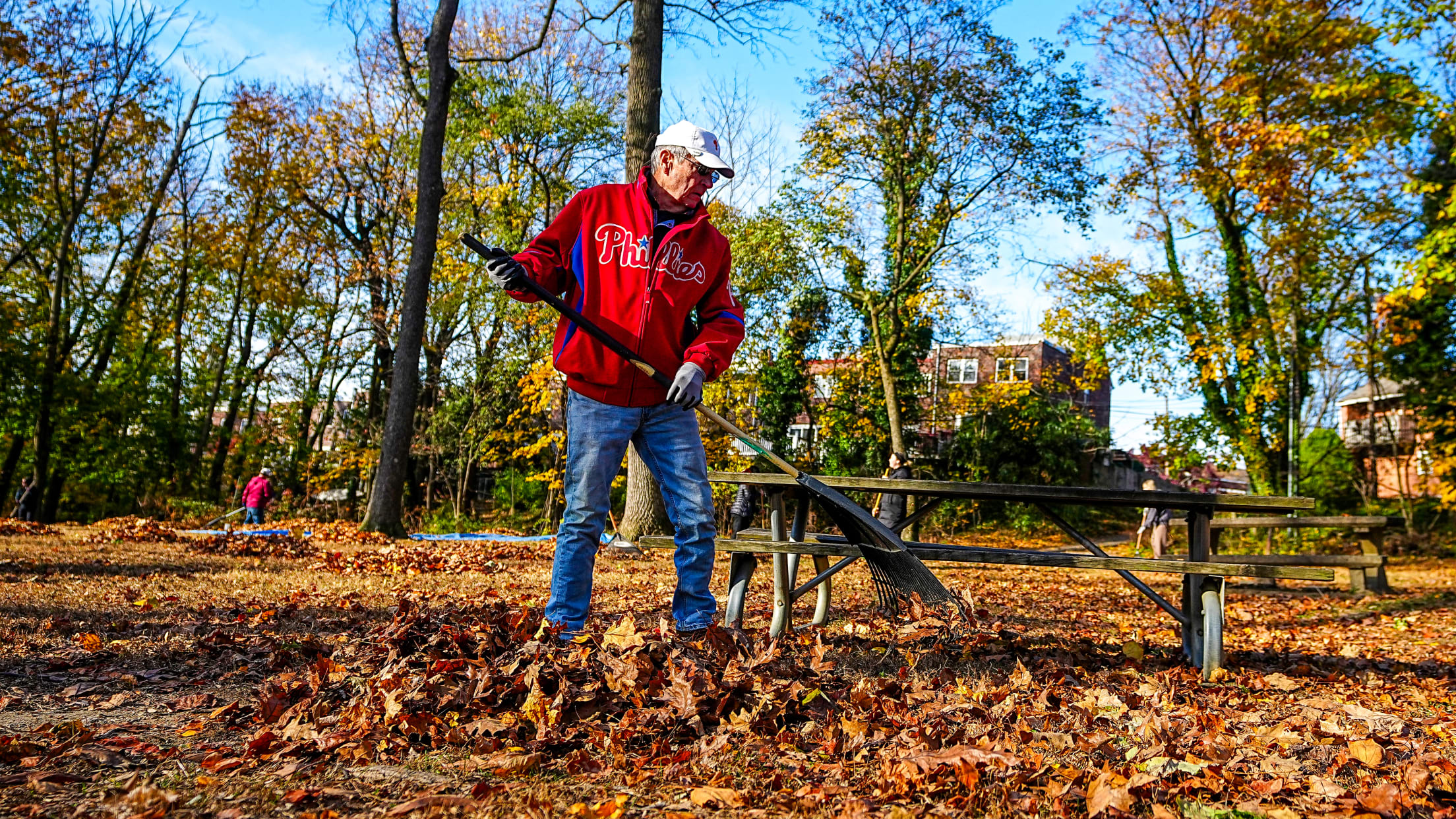 DPMFieldCleanUp166832