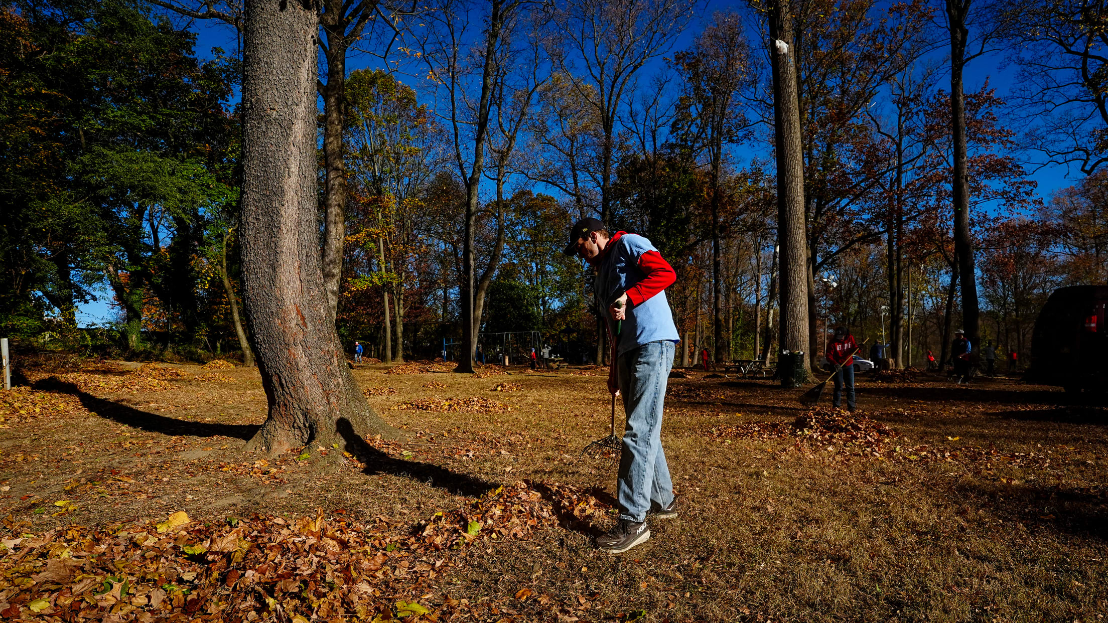 DPMFieldCleanup09083