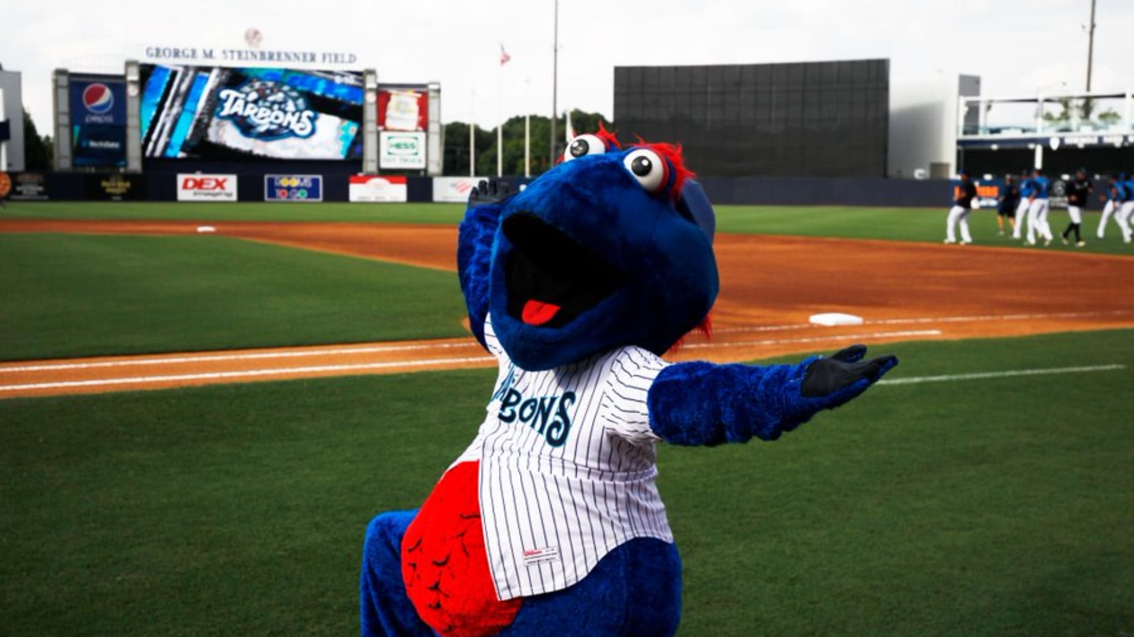 Tampa Tarpons unveil uniforms