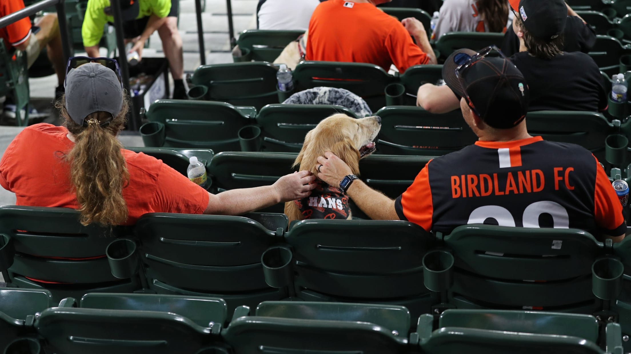 BAL - BI - Homestand In Focus - 0911-0917 -  025