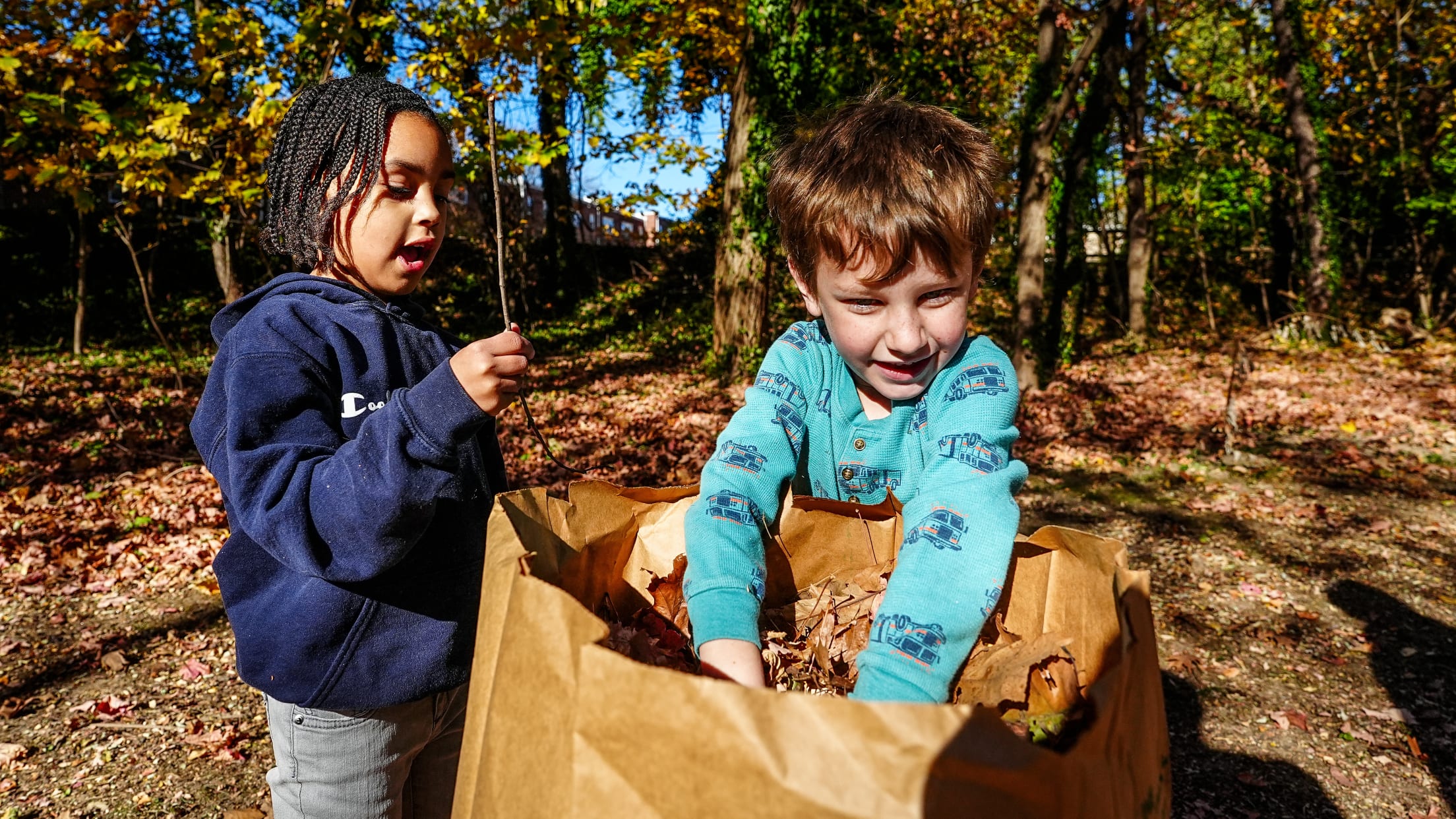 DPMFieldCleanup09314